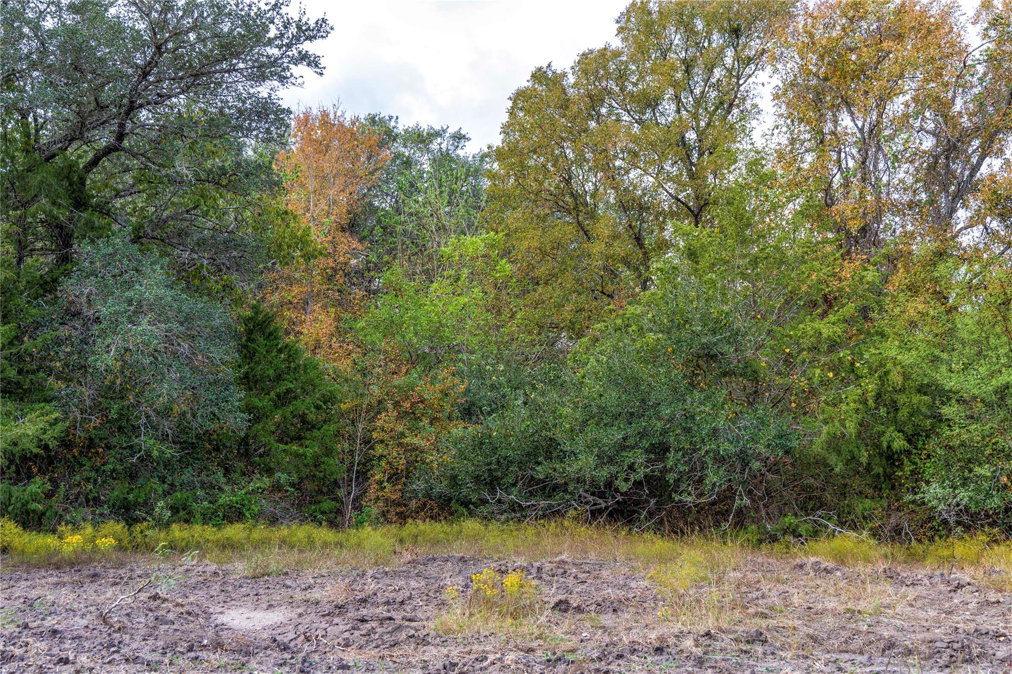 1250 Ladewig Ln, Schulenburg, TX 78956