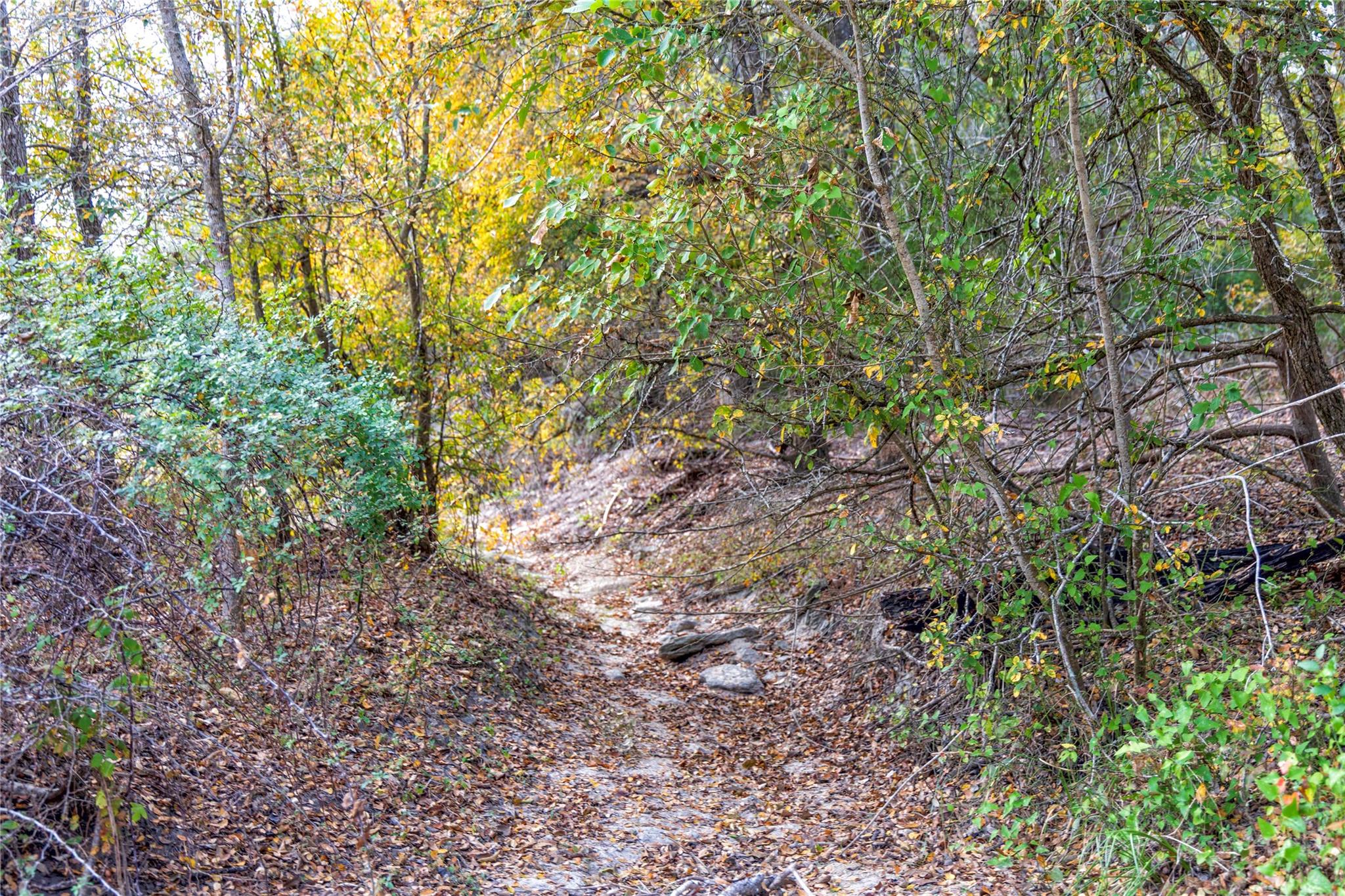 1250 Ladewig Ln, Schulenburg, TX 78956