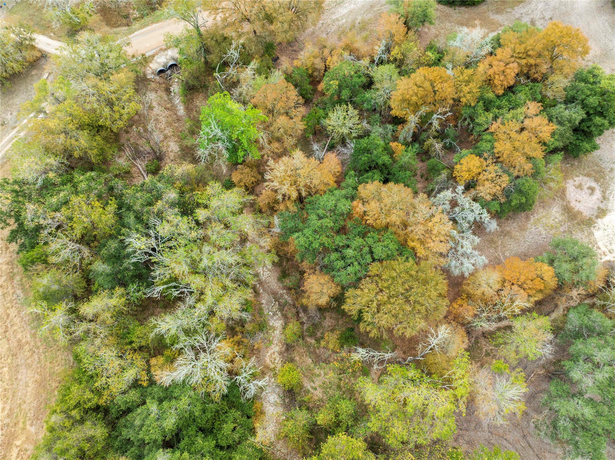 1250 Ladewig Ln, Schulenburg, TX 78956