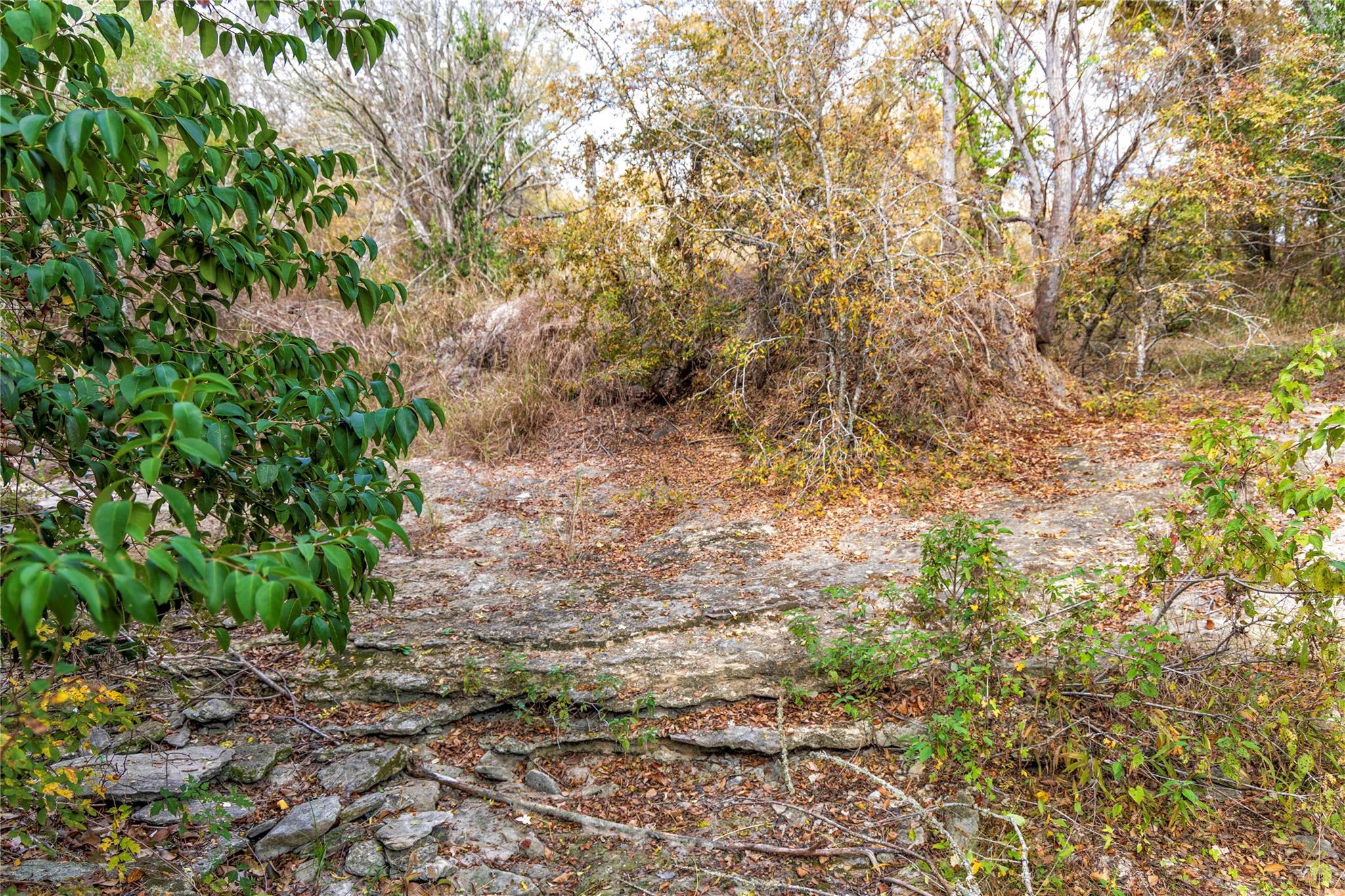 1250 Ladewig Ln, Schulenburg, TX 78956