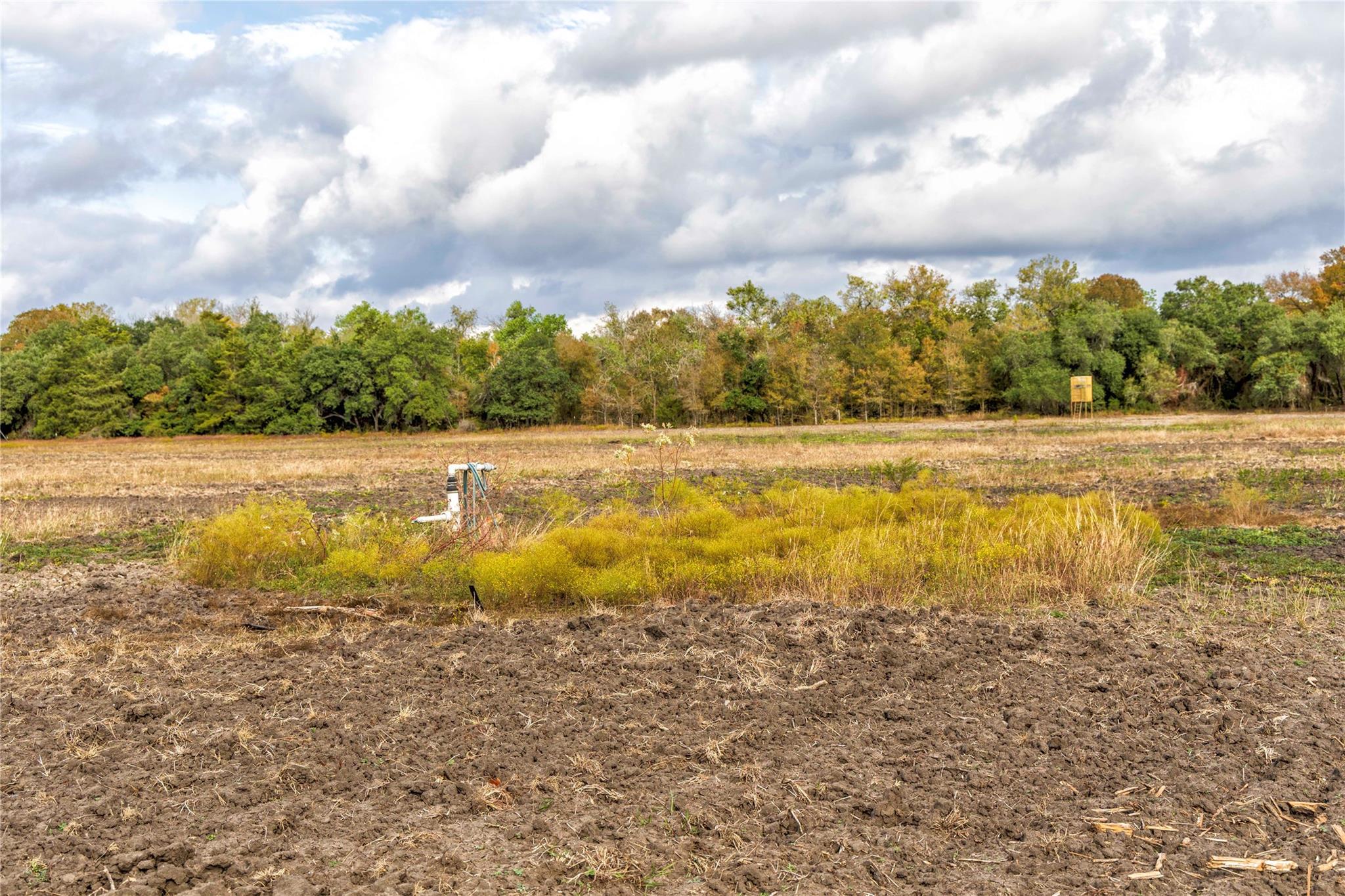 1250 Ladewig Ln, Schulenburg, TX 78956