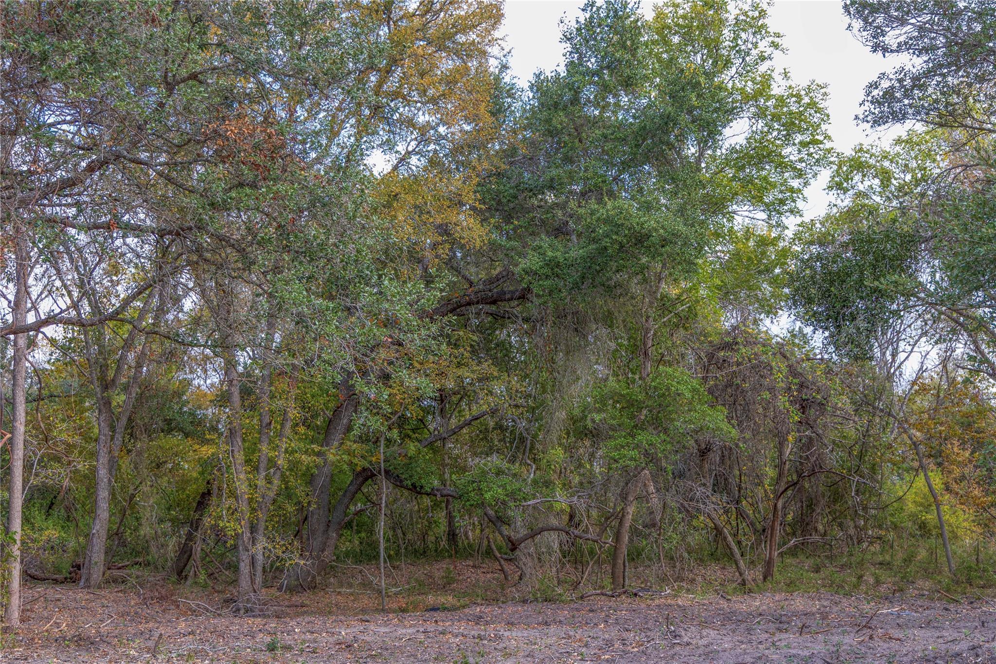 1250 Ladewig Ln, Schulenburg, TX 78956