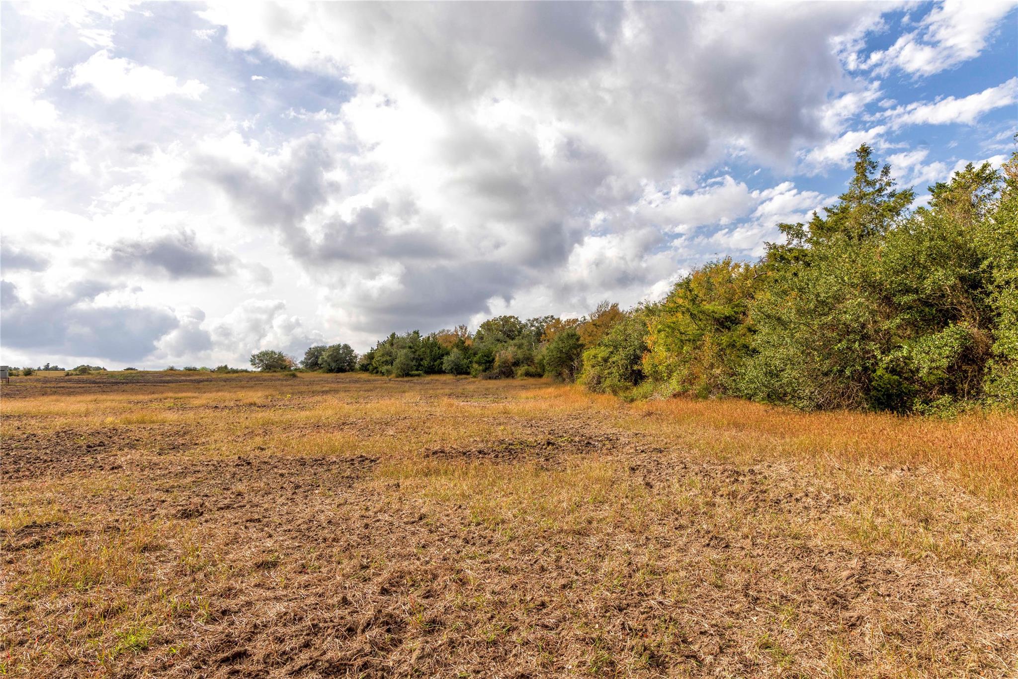 1250 Ladewig Ln, Schulenburg, TX 78956