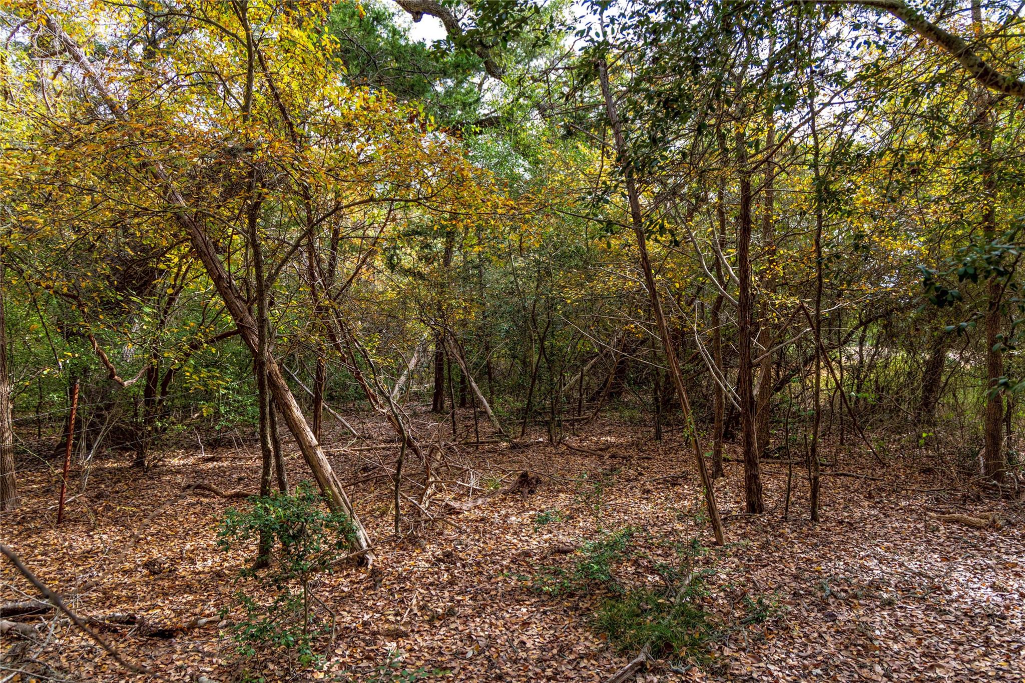 1250 Ladewig Ln, Schulenburg, TX 78956