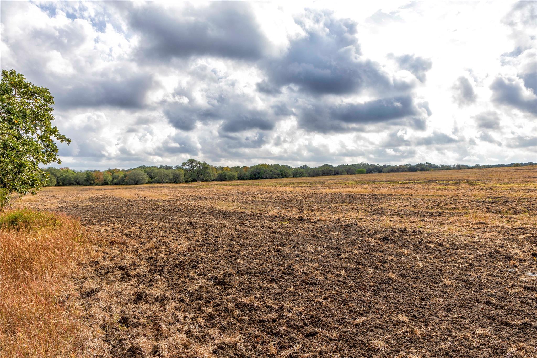 1250 Ladewig Ln, Schulenburg, TX 78956