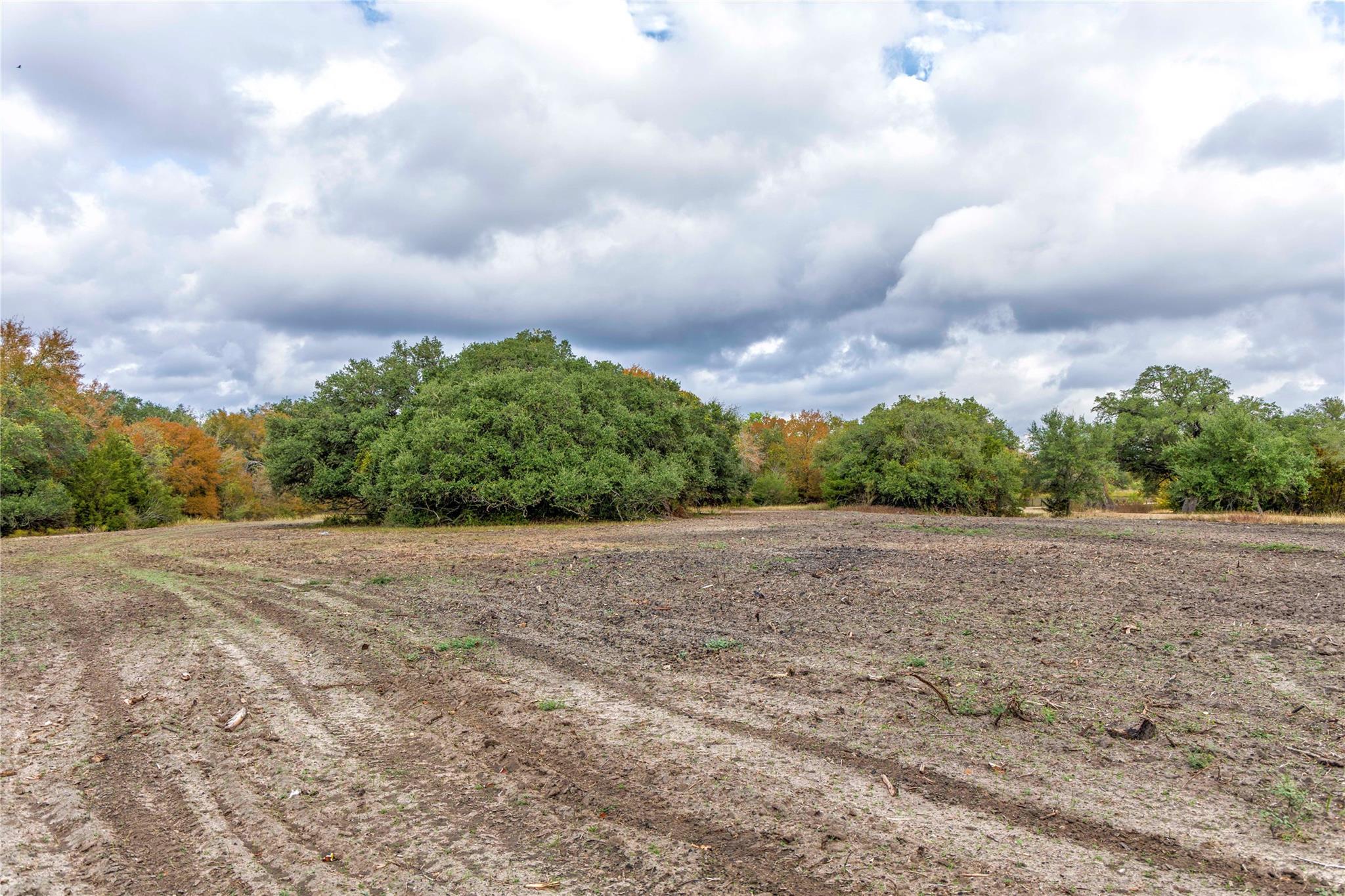 1250 Ladewig Ln, Schulenburg, TX 78956