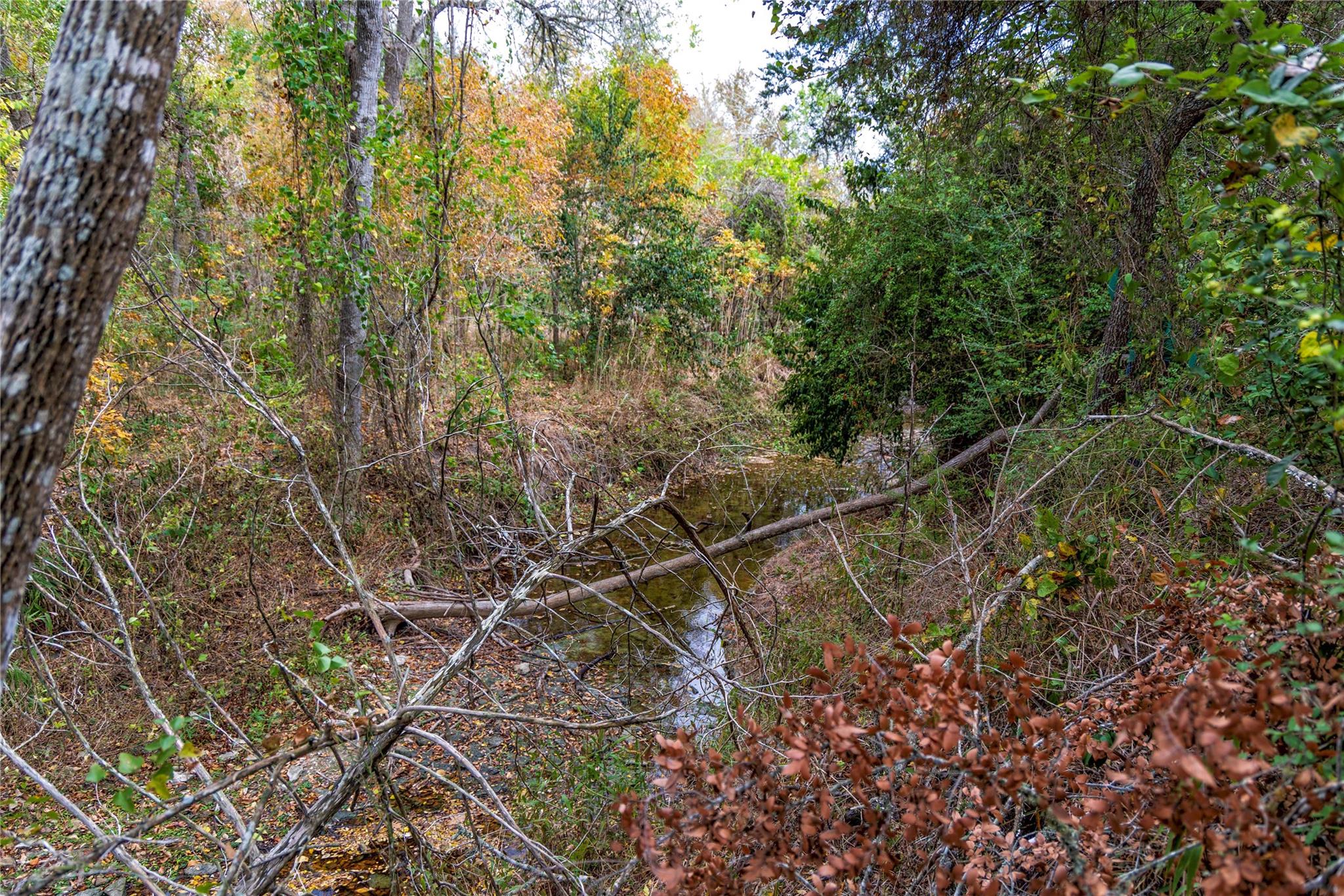 1250 Ladewig Ln, Schulenburg, TX 78956