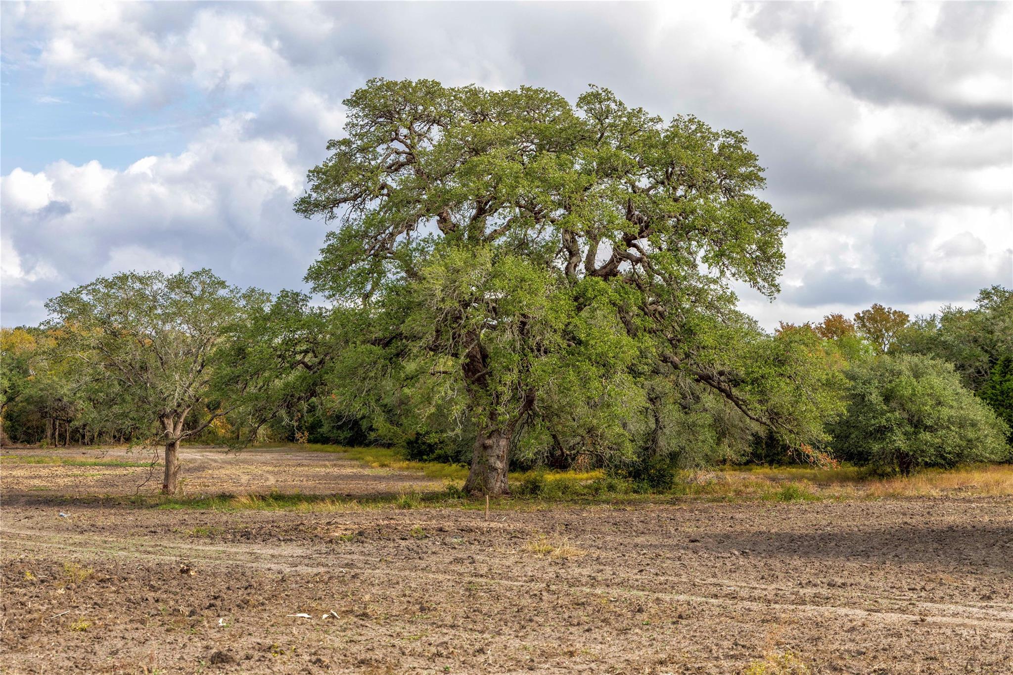 1250 Ladewig Ln, Schulenburg, TX 78956