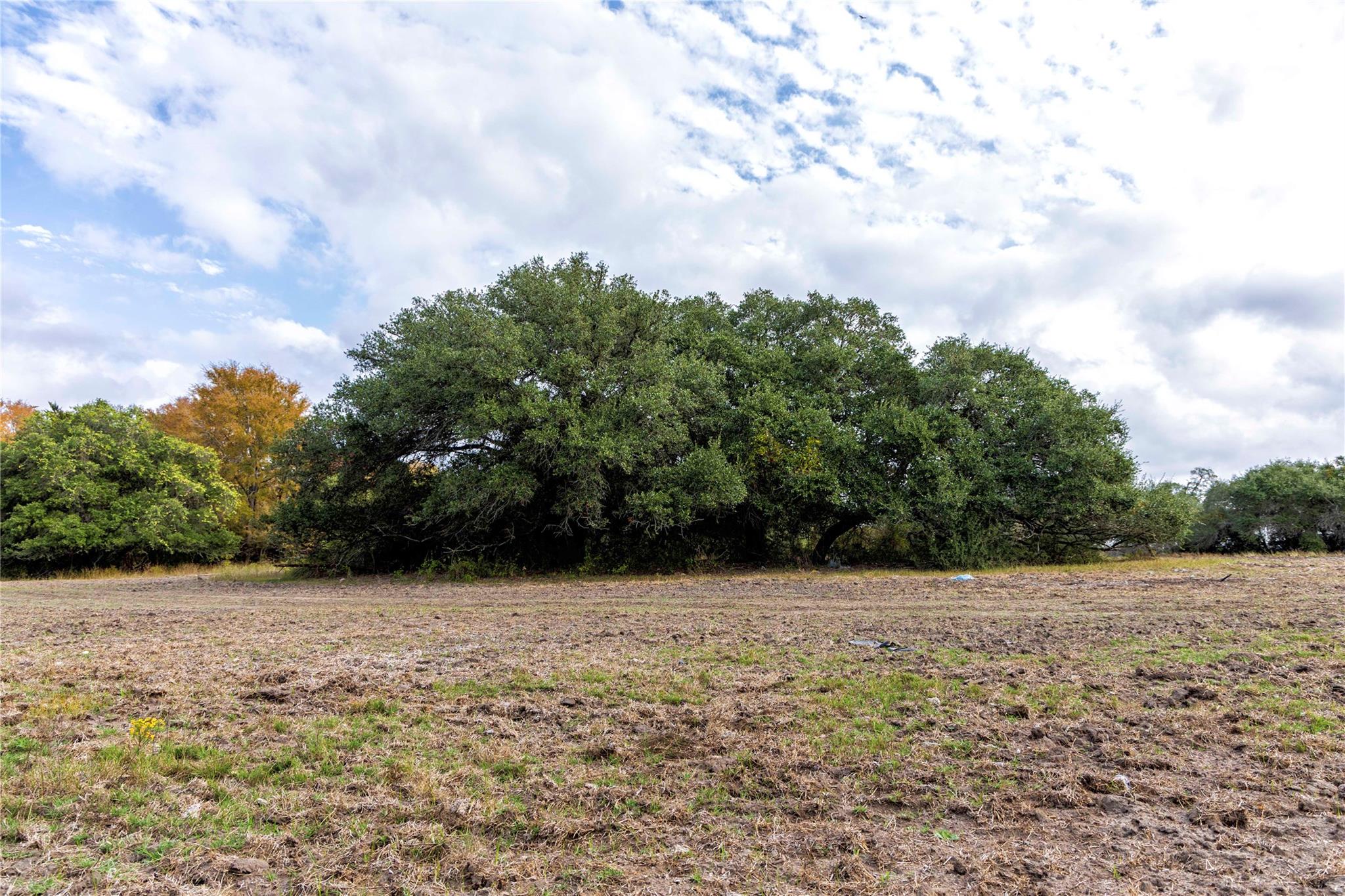 1250 Ladewig Ln, Schulenburg, TX 78956