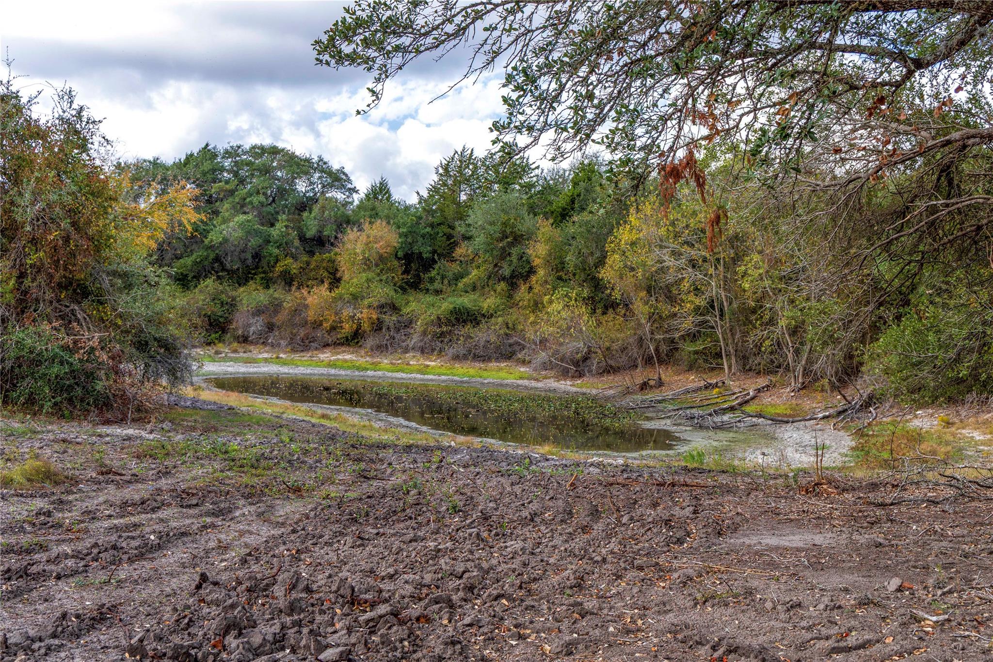 1250 Ladewig Ln, Schulenburg, TX 78956