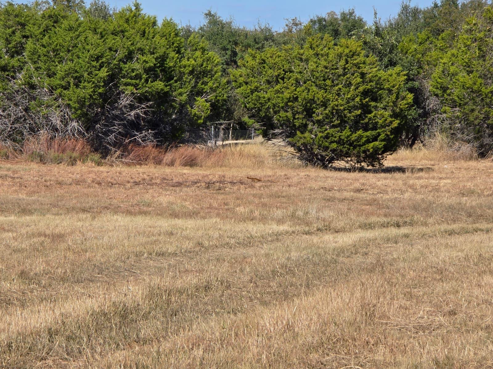 TBD Avila Ln, Briggs, TX 78608