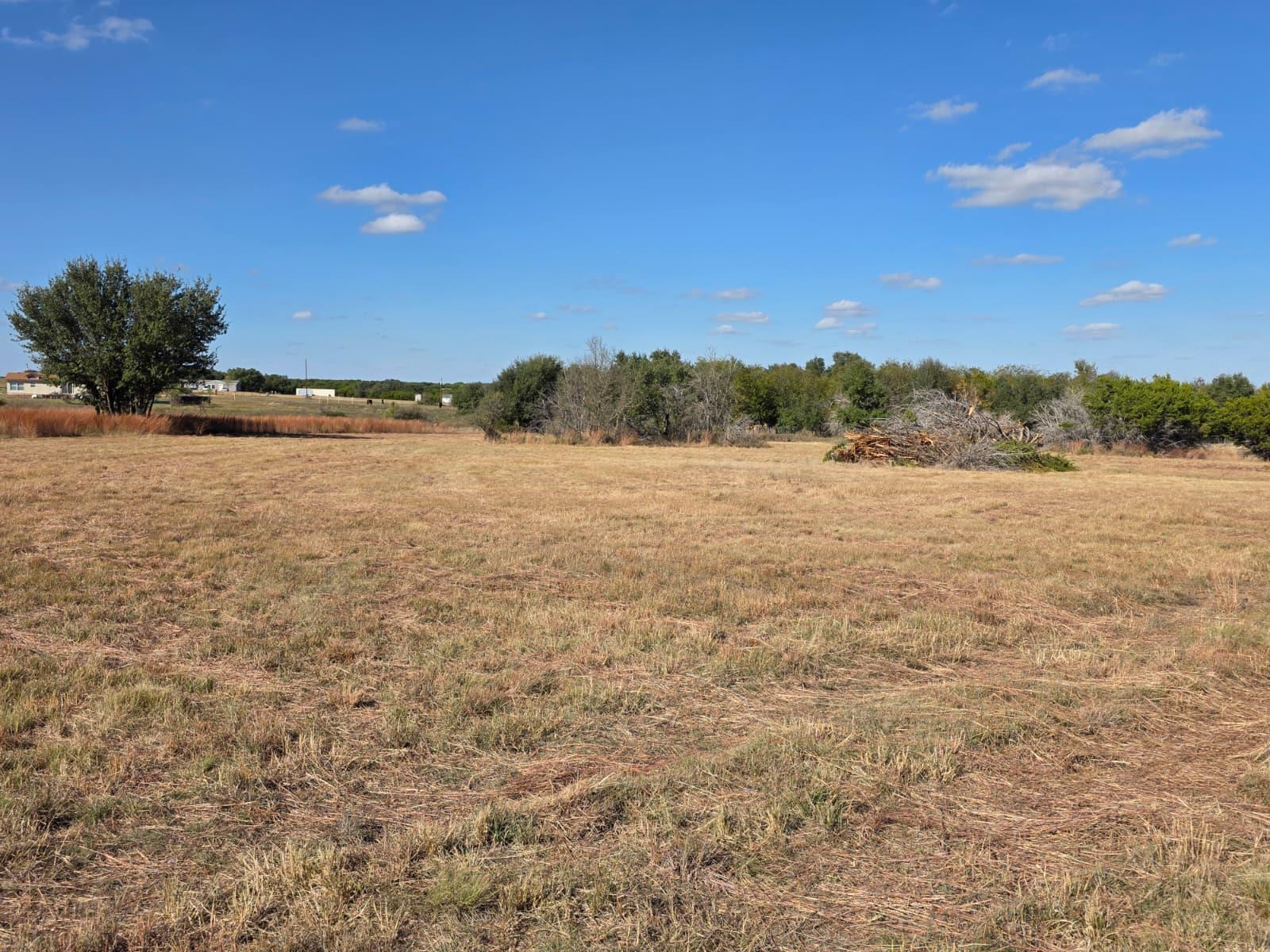 TBD Avila Ln, Briggs, TX 78608