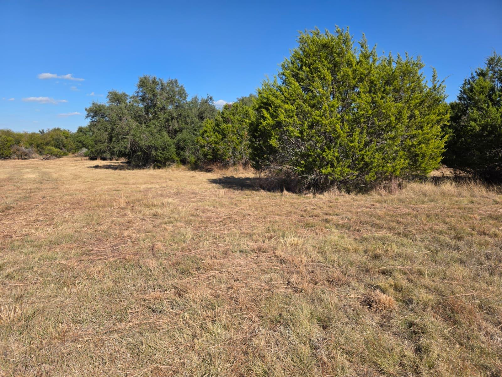 TBD Avila Ln, Briggs, TX 78608