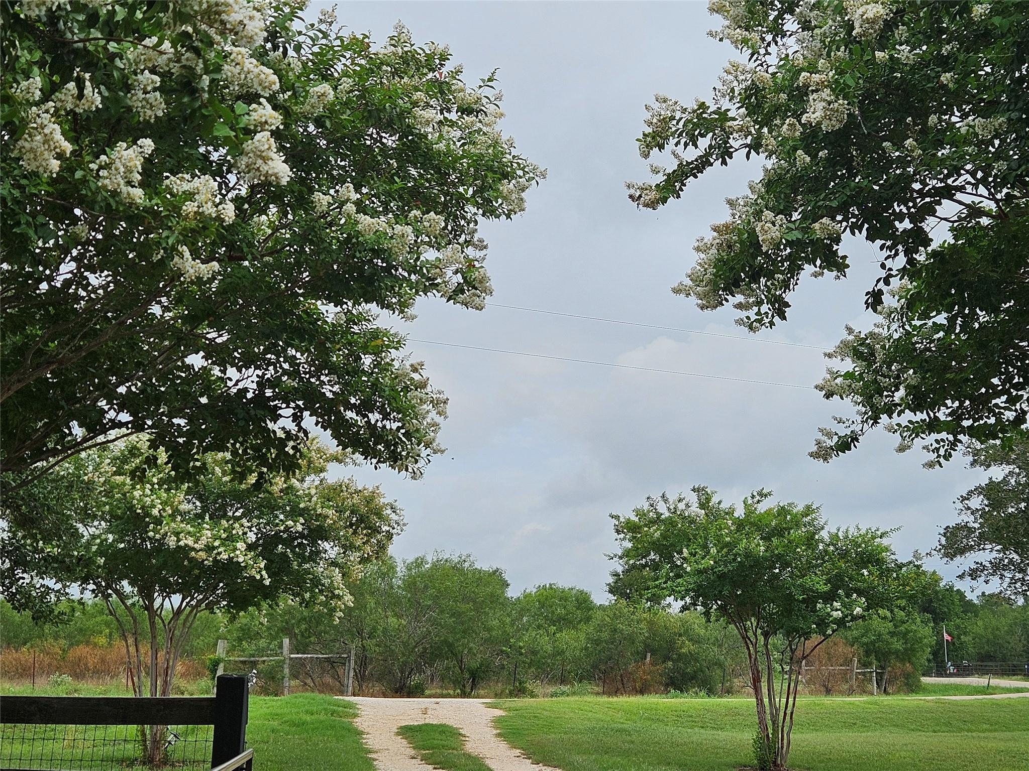 479 Mesquite Dr, Cedar Creek, TX 78612