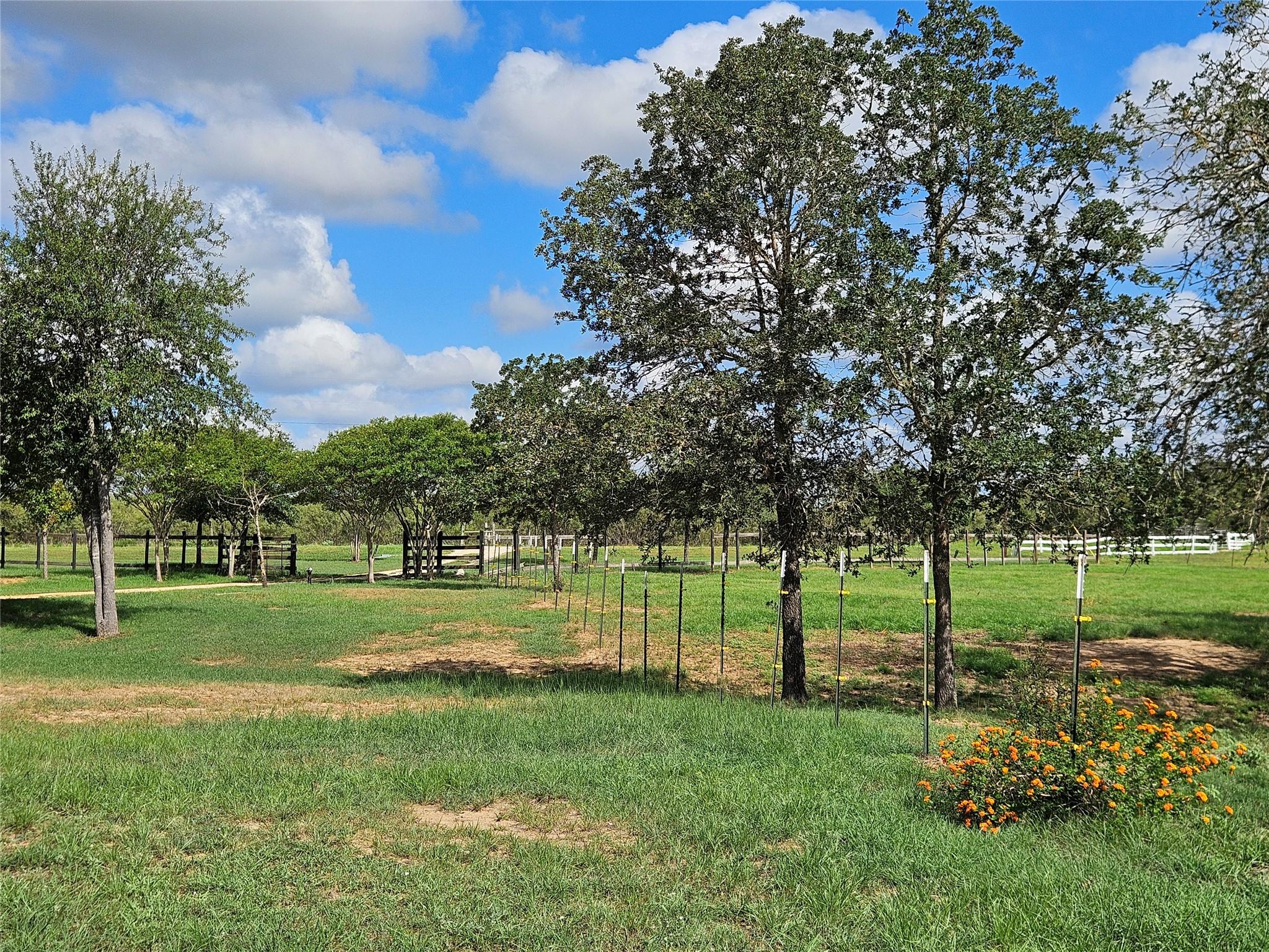 479 Mesquite Dr, Cedar Creek, TX 78612