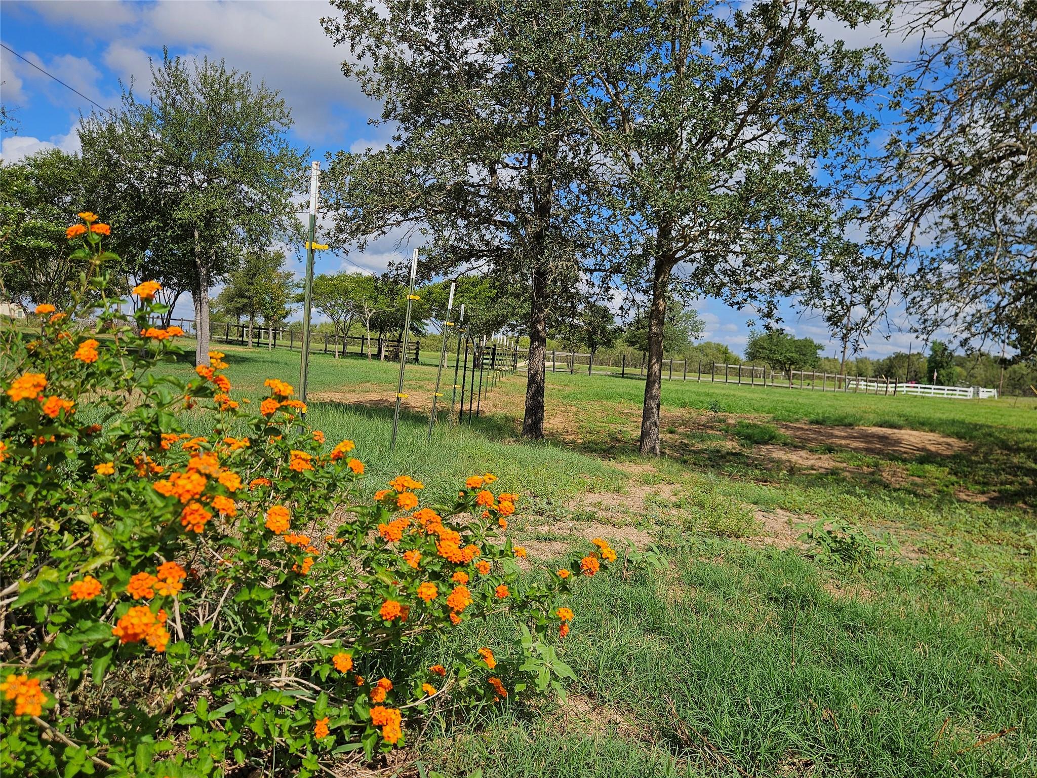 479 Mesquite Dr, Cedar Creek, TX 78612