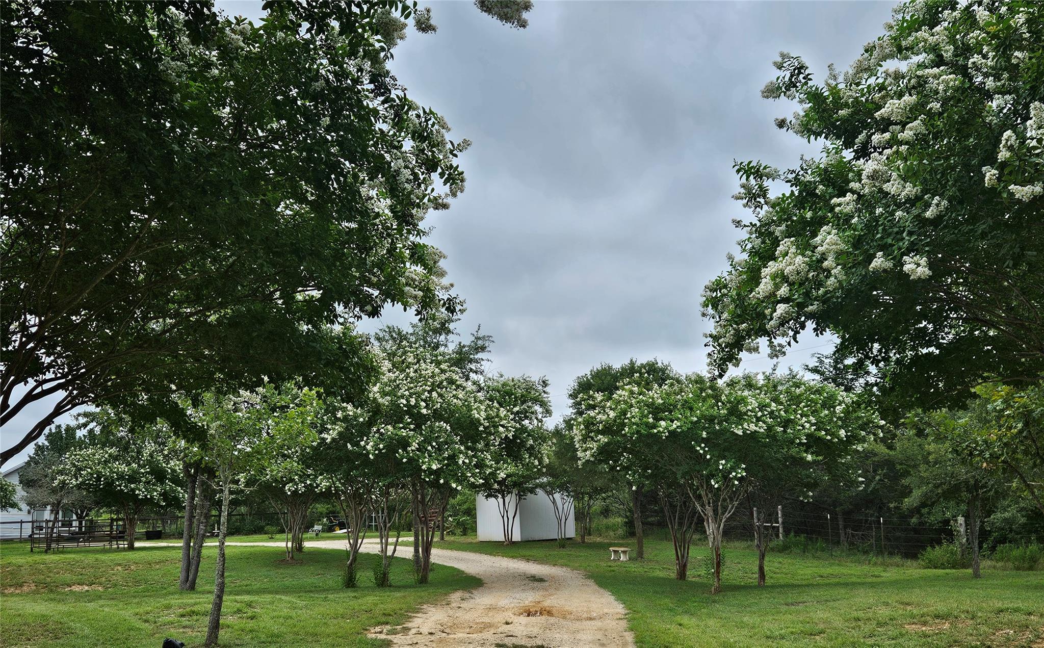 479 Mesquite Dr, Cedar Creek, TX 78612