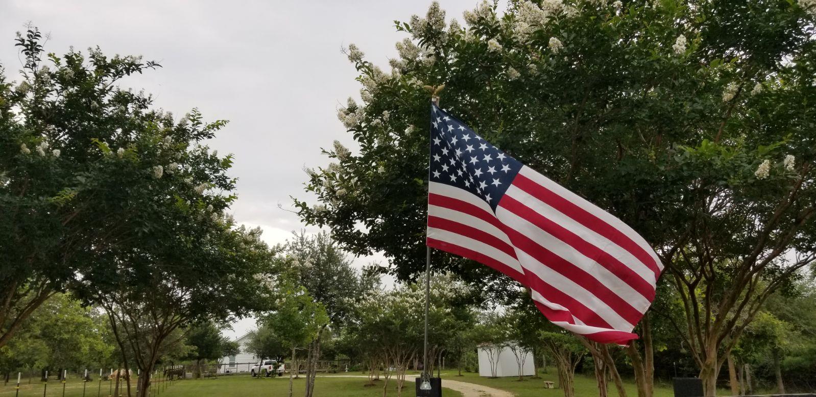 479 Mesquite Dr, Cedar Creek, TX 78612