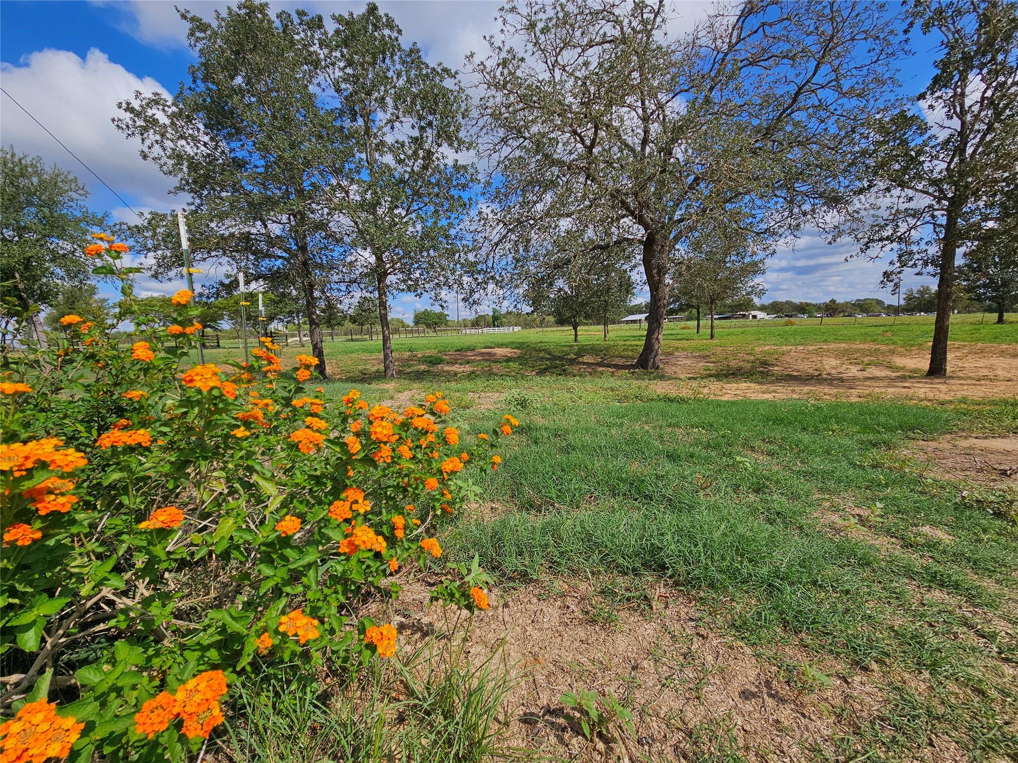 479 Mesquite Dr, Cedar Creek, TX 78612