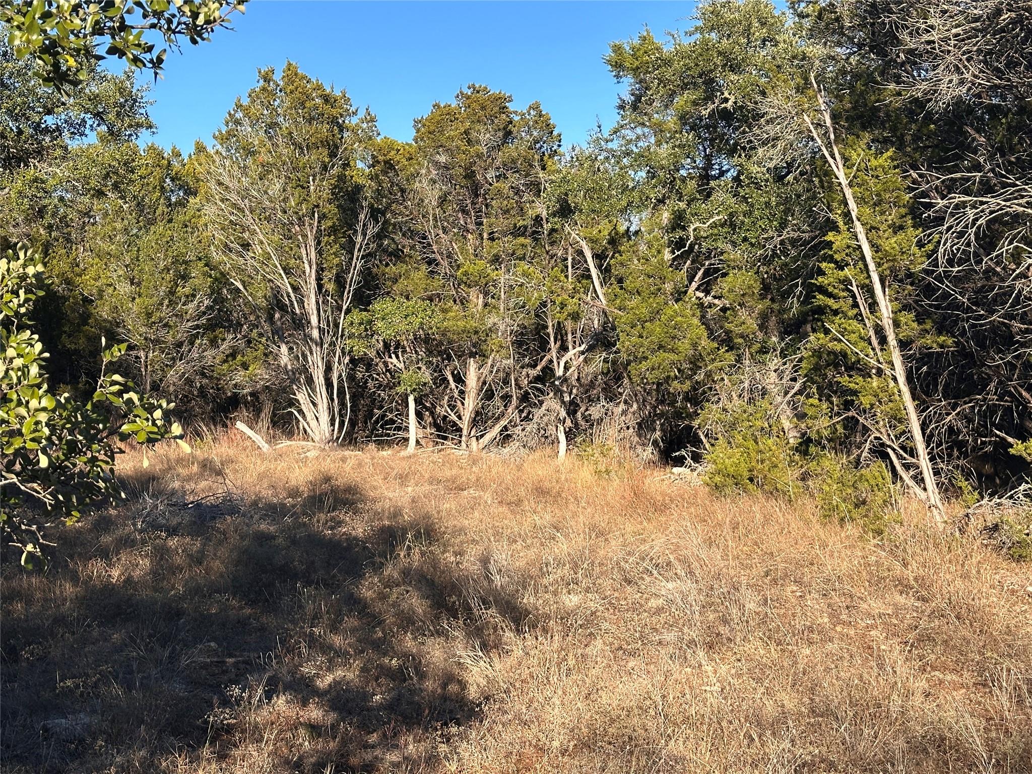 39 Persimmon Dr, Wimberley, TX 78676