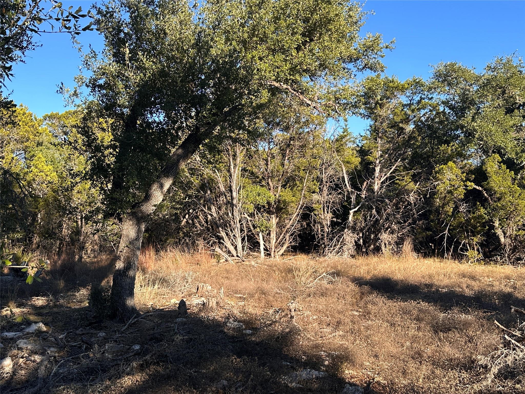 39 Persimmon Dr, Wimberley, TX 78676