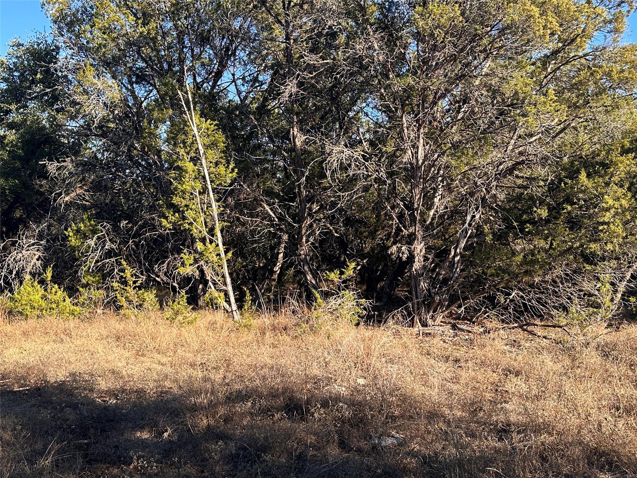 39 Persimmon Dr, Wimberley, TX 78676