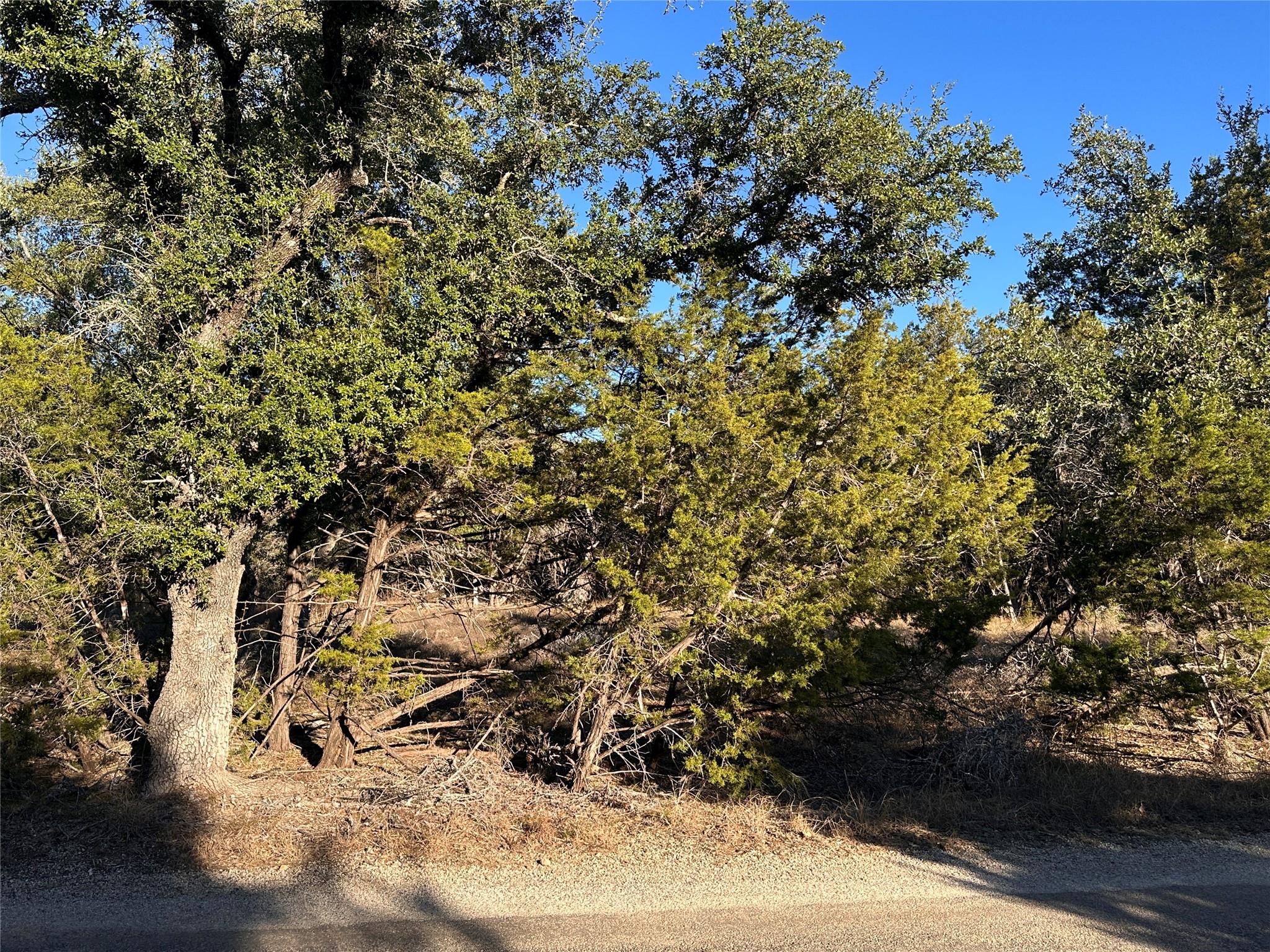 39 Persimmon Dr, Wimberley, TX 78676