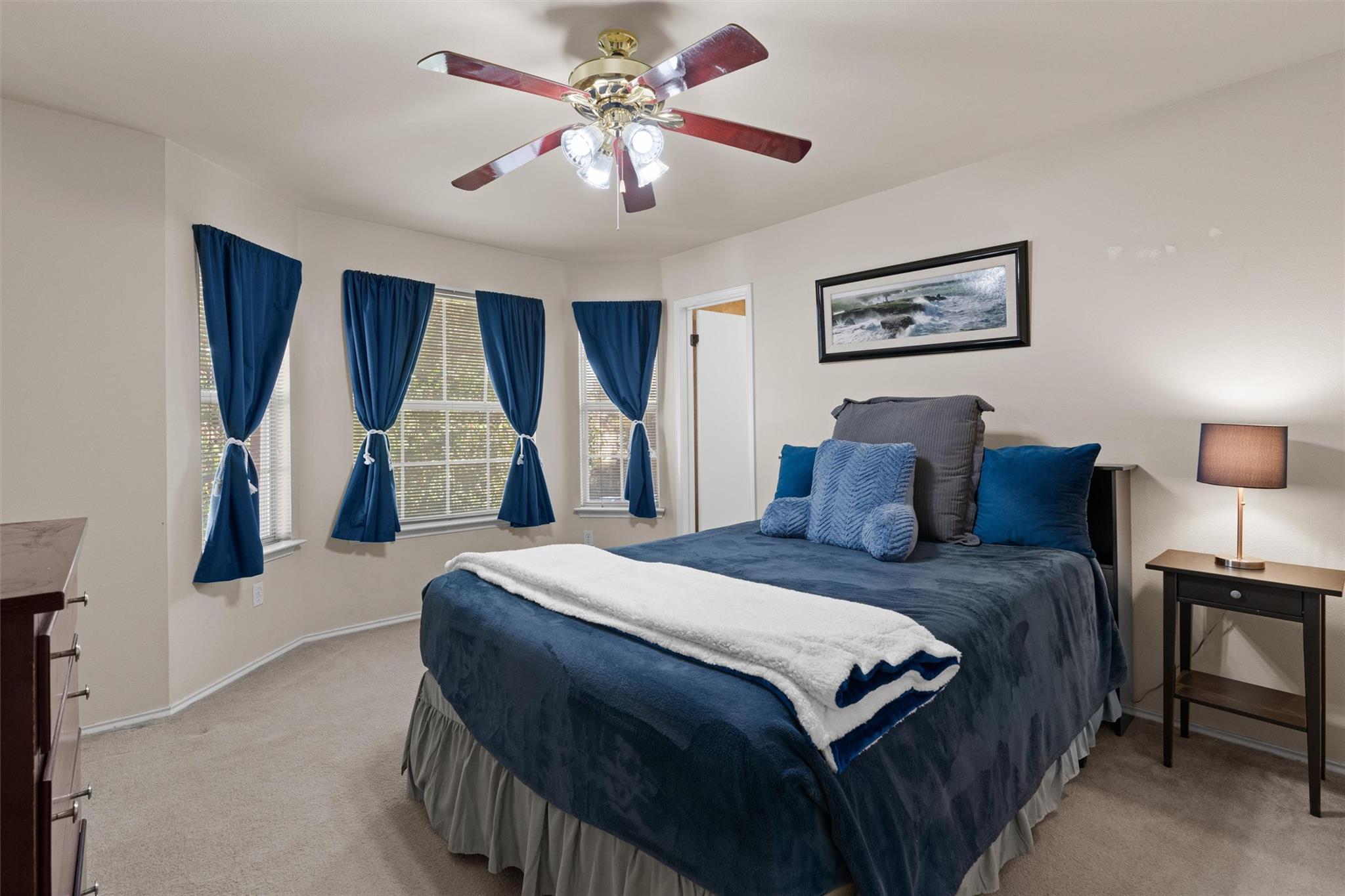 2910 S Phoenix Cv, Round Rock, TX 78665