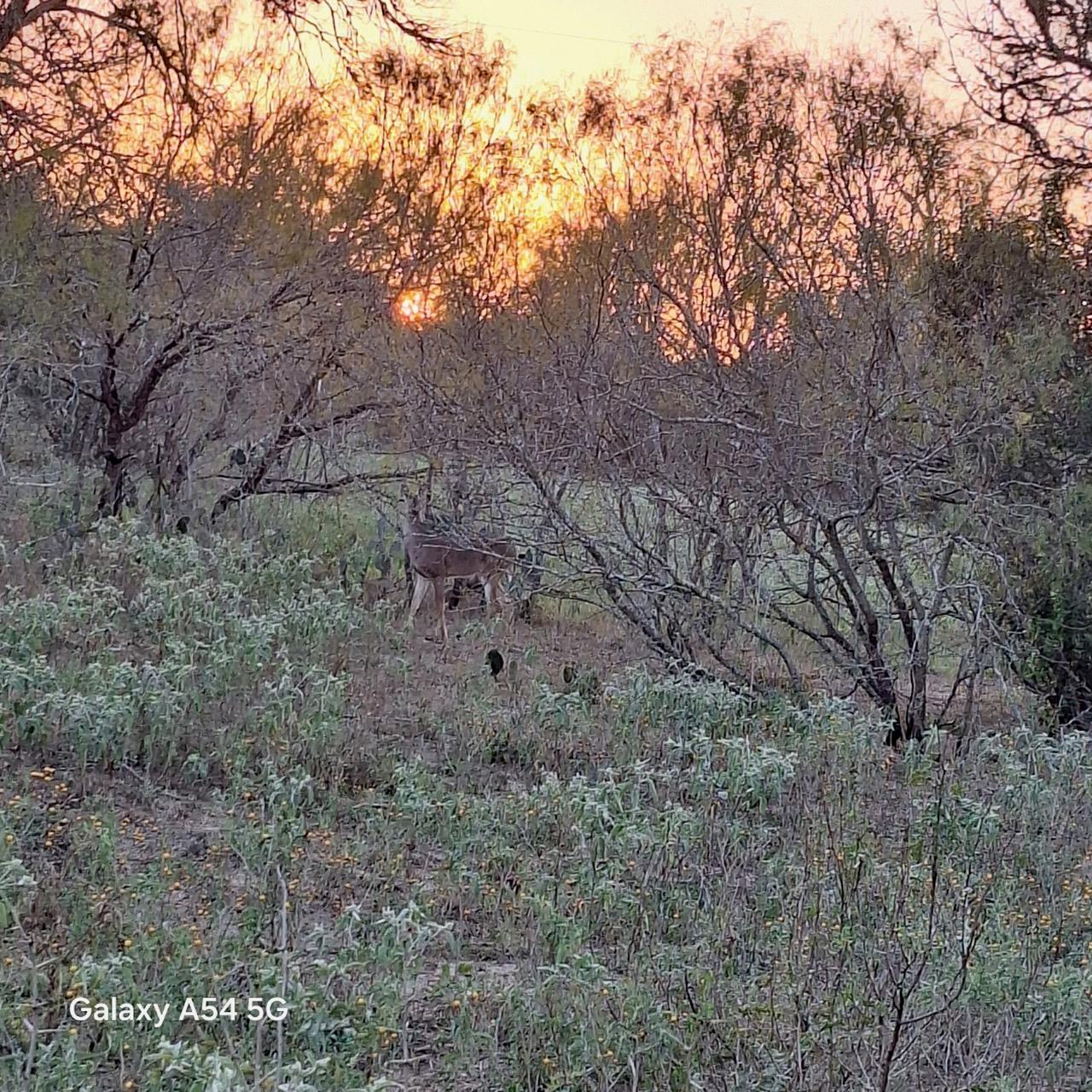 326 The Forest Rd, Dale, TX 78616