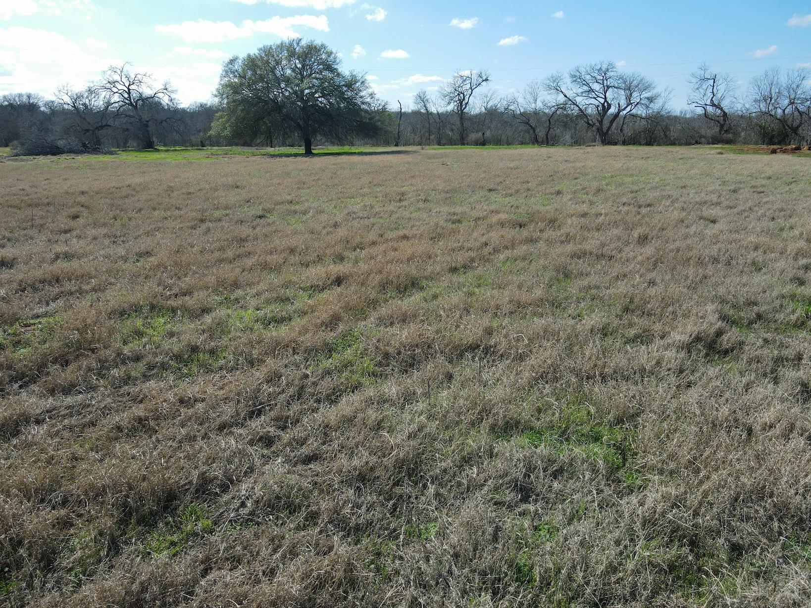 5411 Tenney Creek Rd, Luling, TX 78648