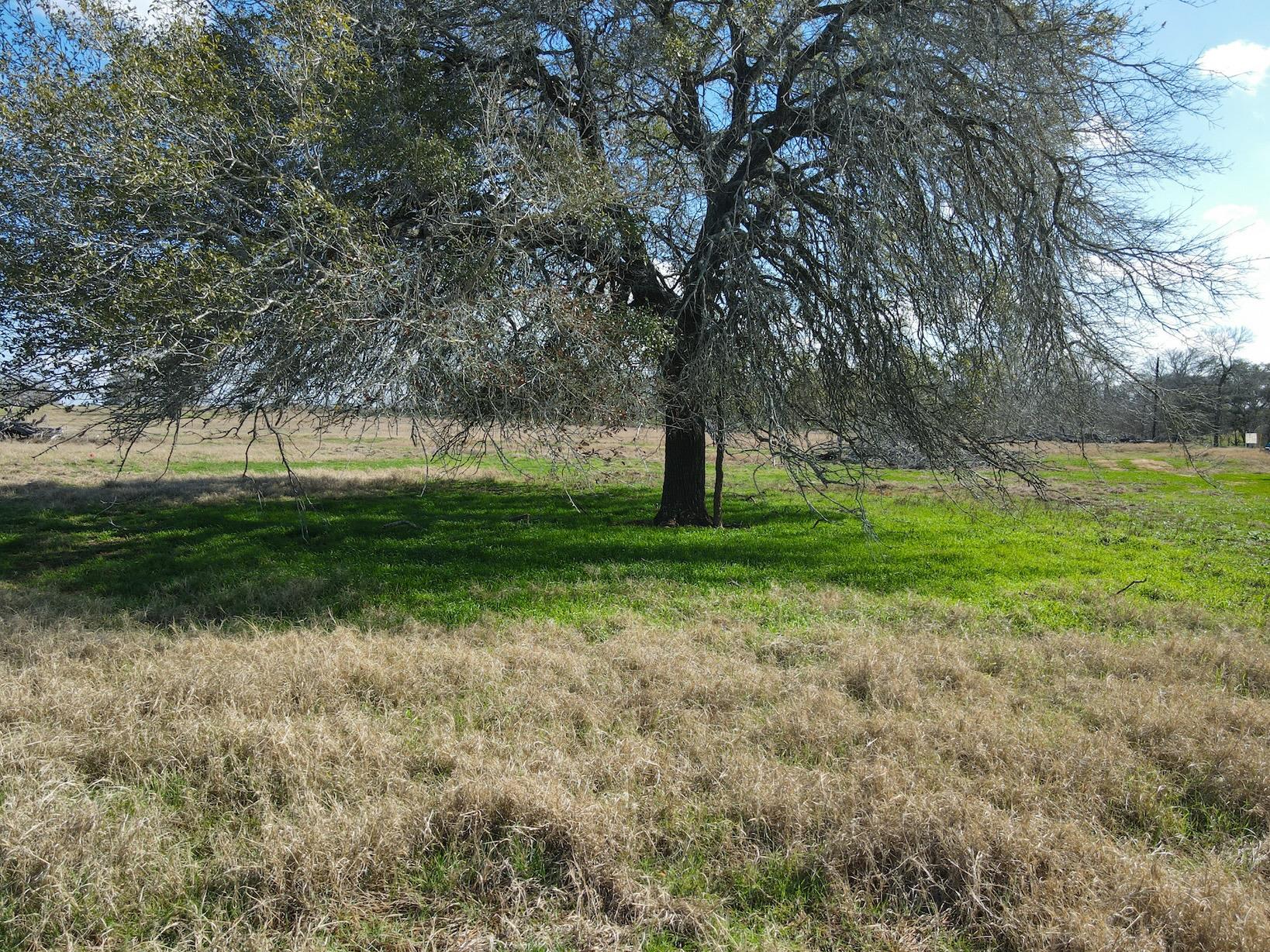 5411 Tenney Creek Rd, Luling, TX 78648