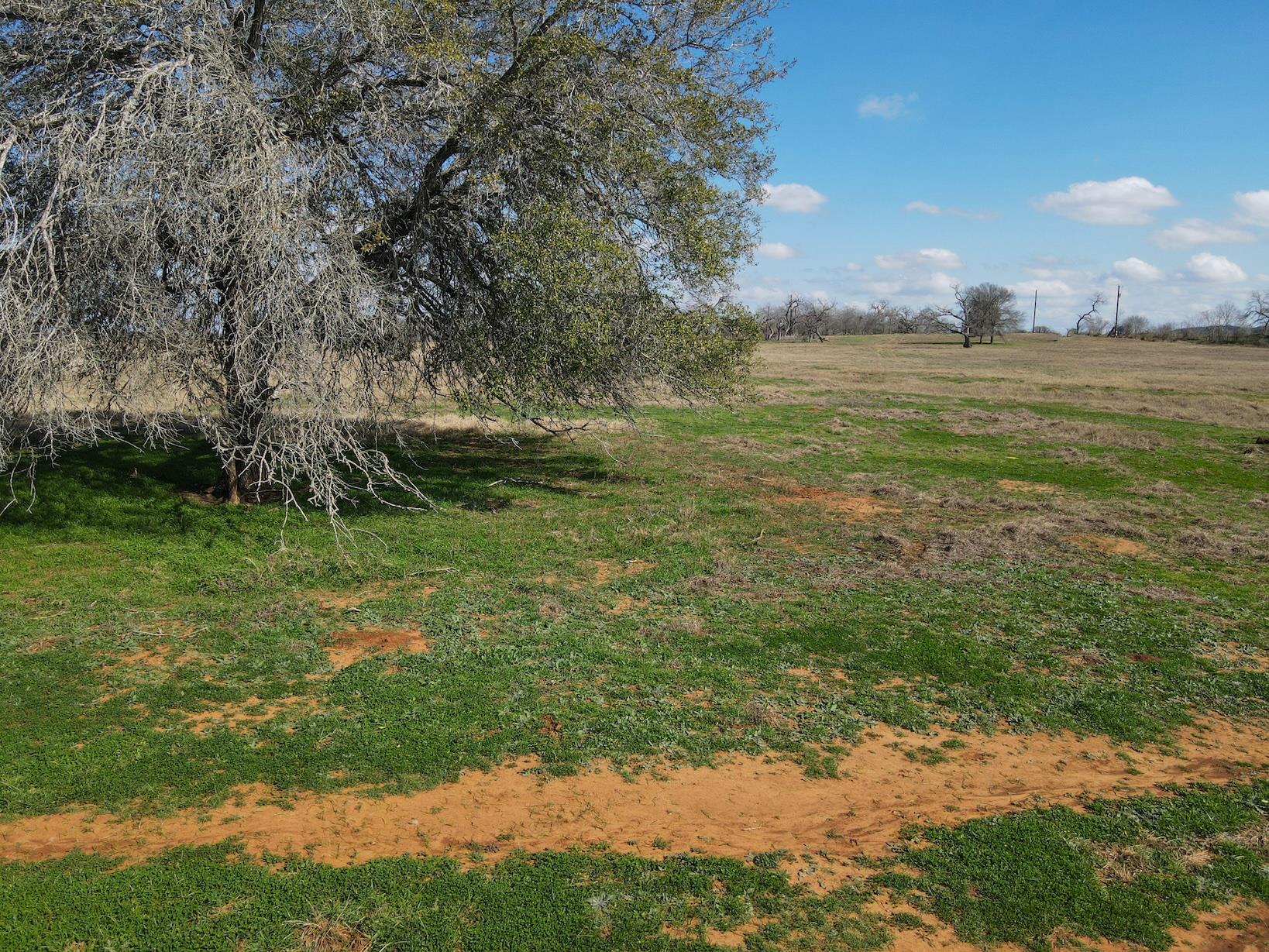 5411 Tenney Creek Rd, Luling, TX 78648