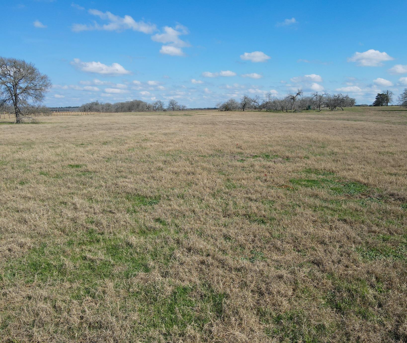 5411 Tenney Creek Rd, Luling, TX 78648