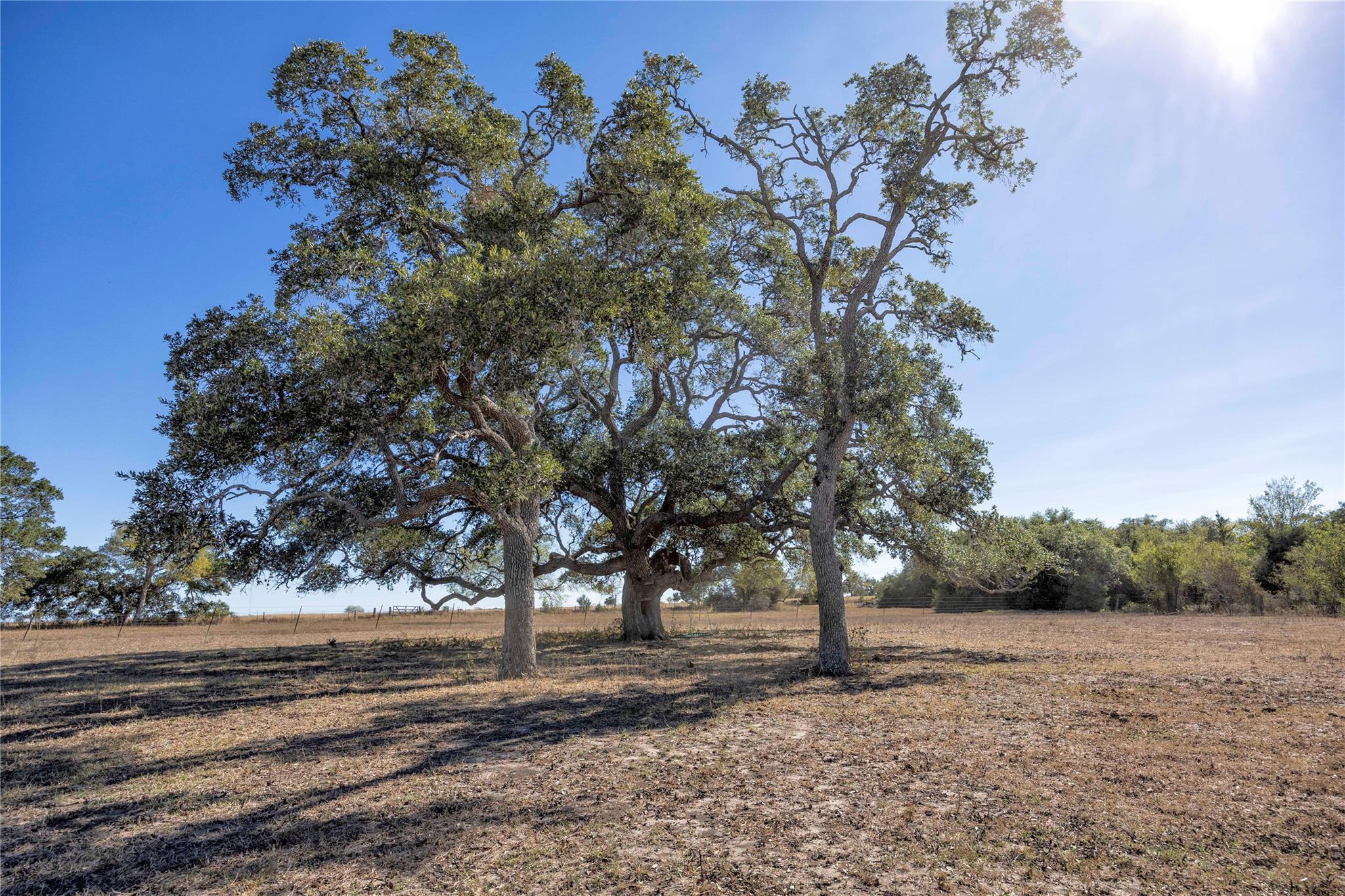 3550 County Road 387, Hallettsville, TX 77964