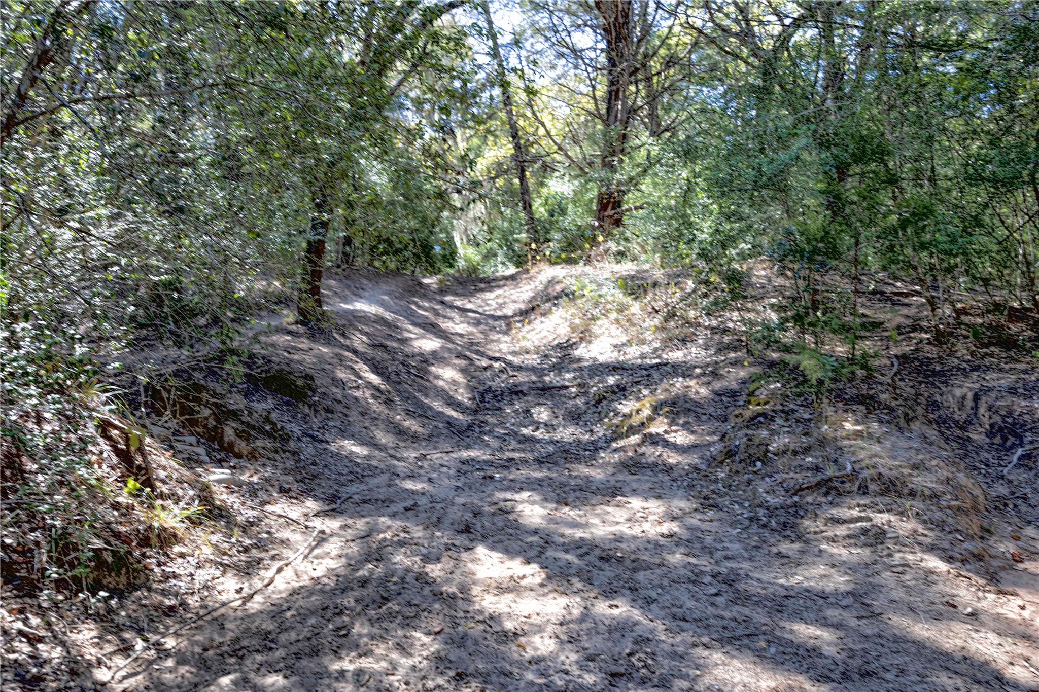 3550 County Road 387, Hallettsville, TX 77964