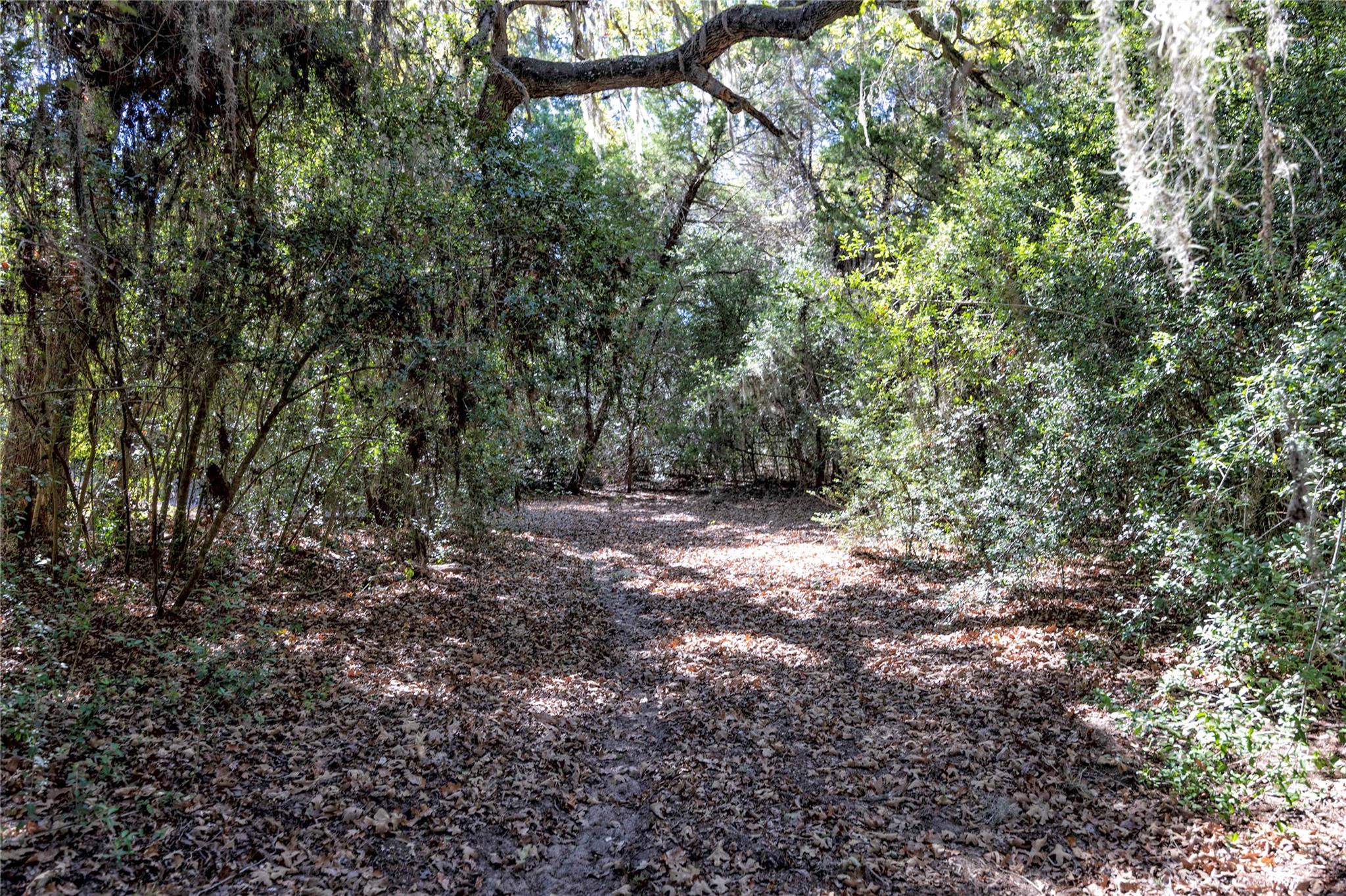 3550 County Road 387, Hallettsville, TX 77964