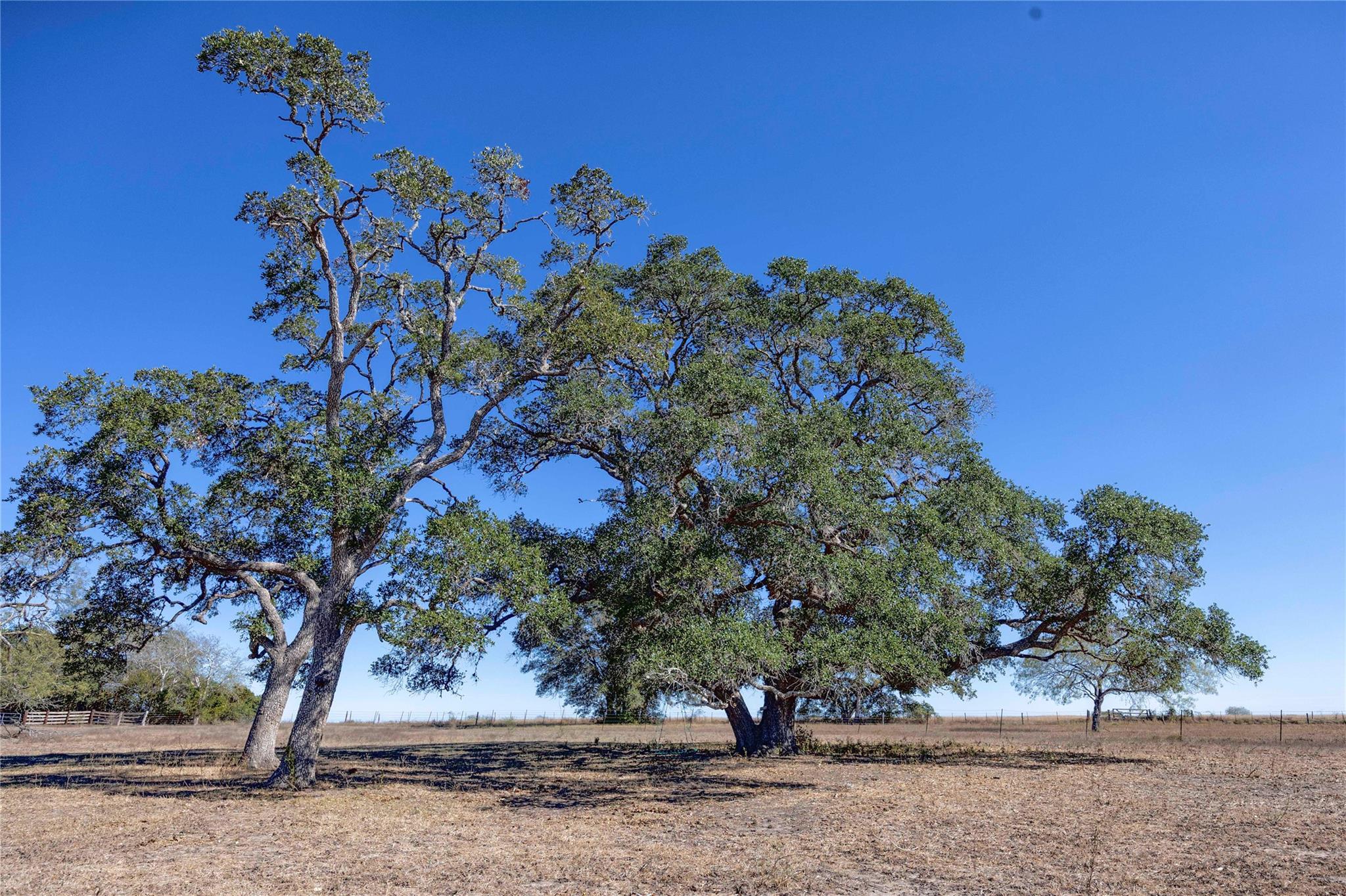 3550 County Road 387, Hallettsville, TX 77964