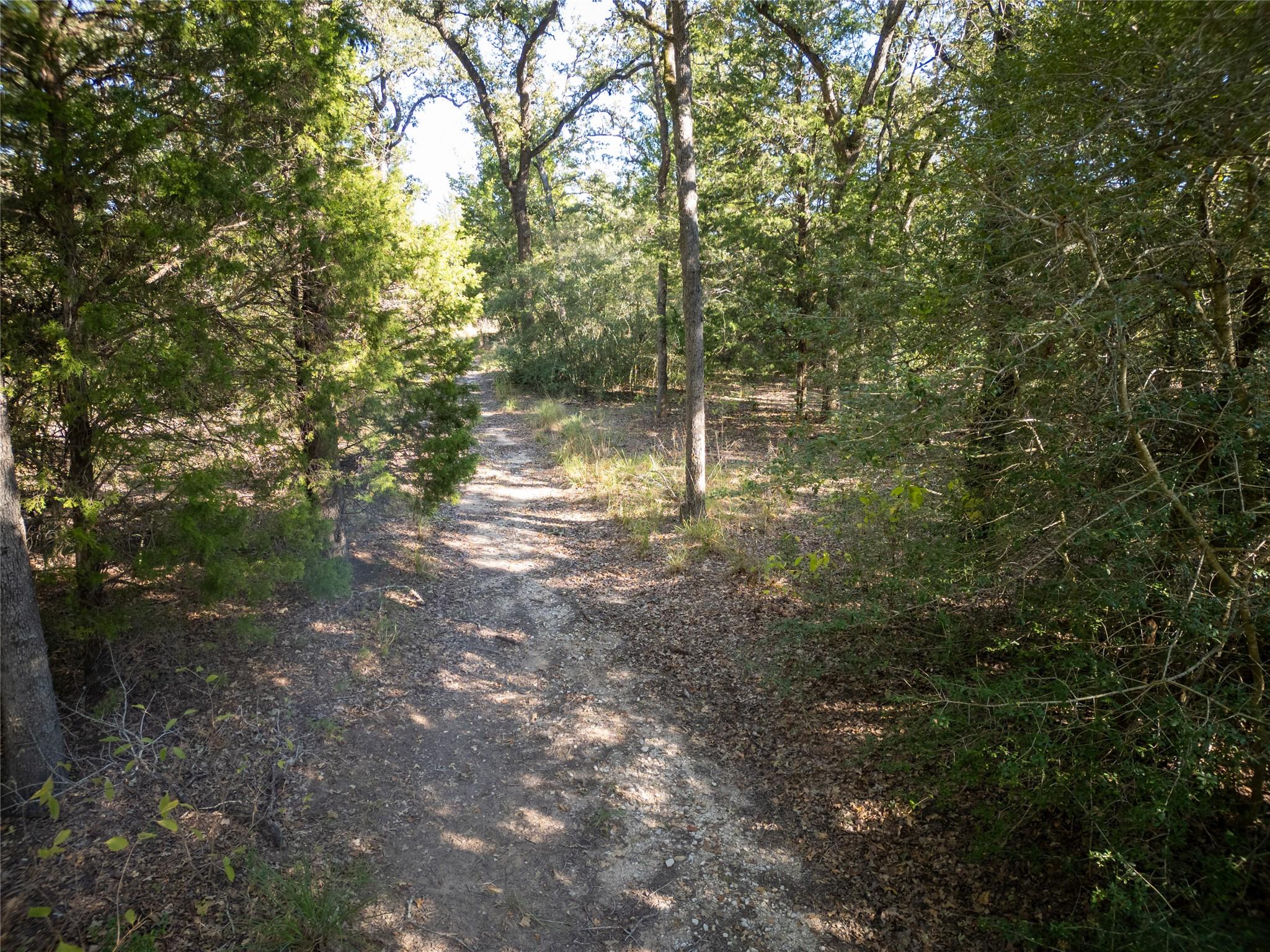 141 Morning Dove Ln, Elgin, TX 78602