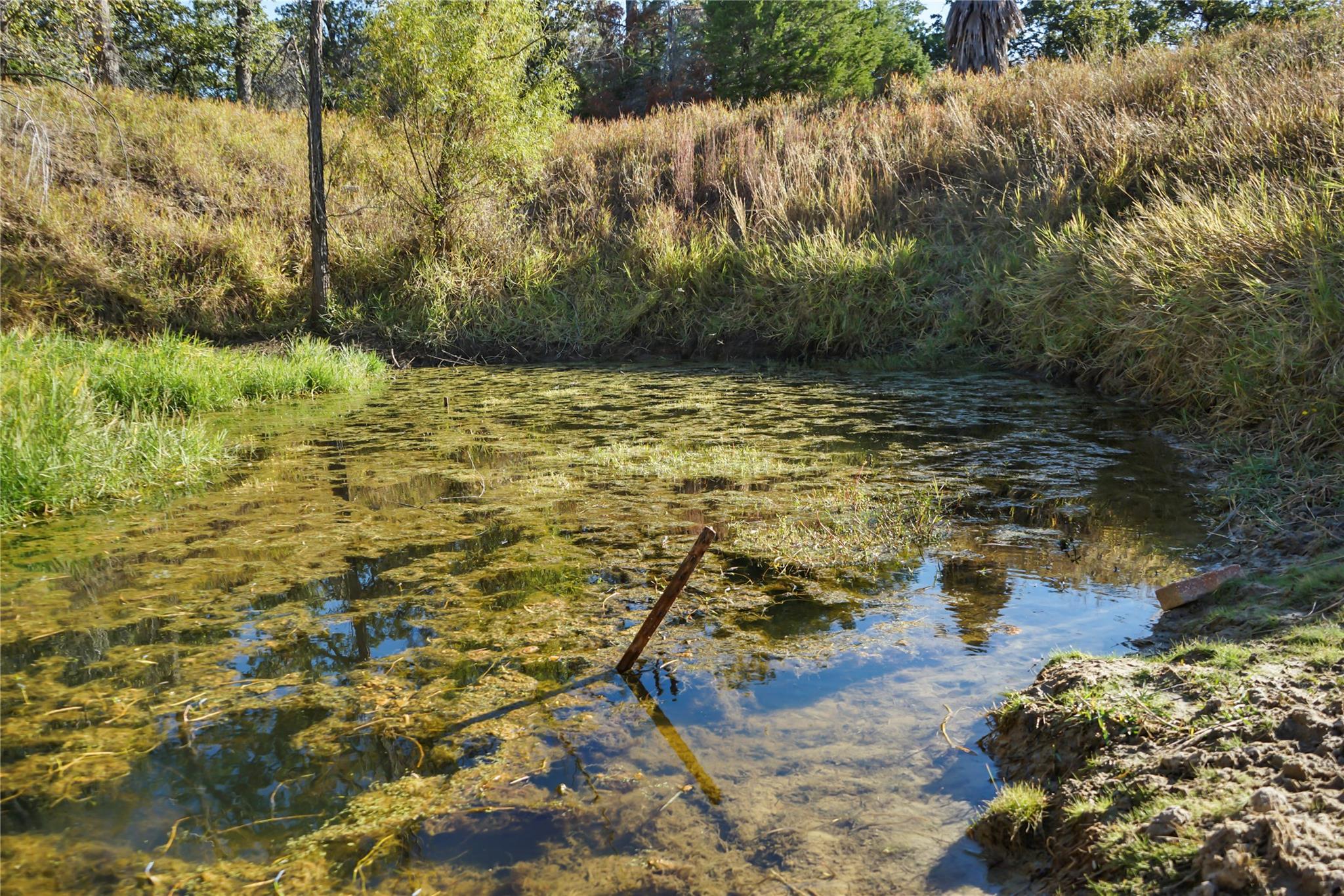 141 Morning Dove Ln, Elgin, TX 78602