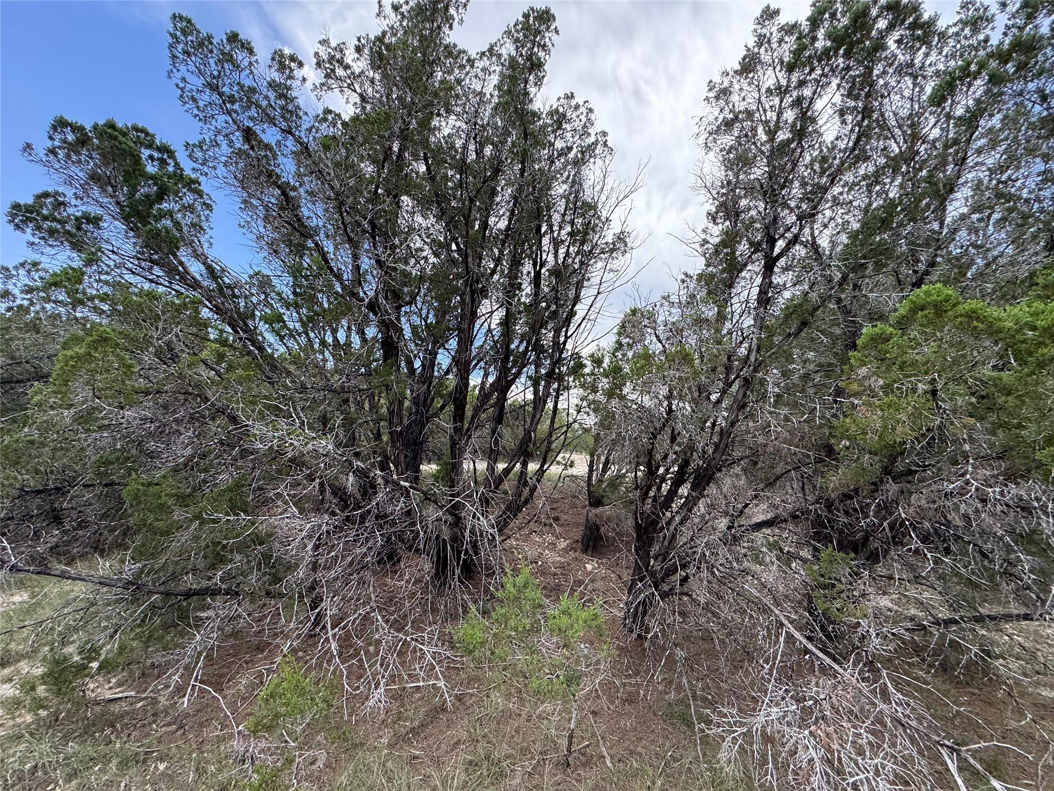 20800 Cedar Ridge Cv, Lago Vista, TX 78645