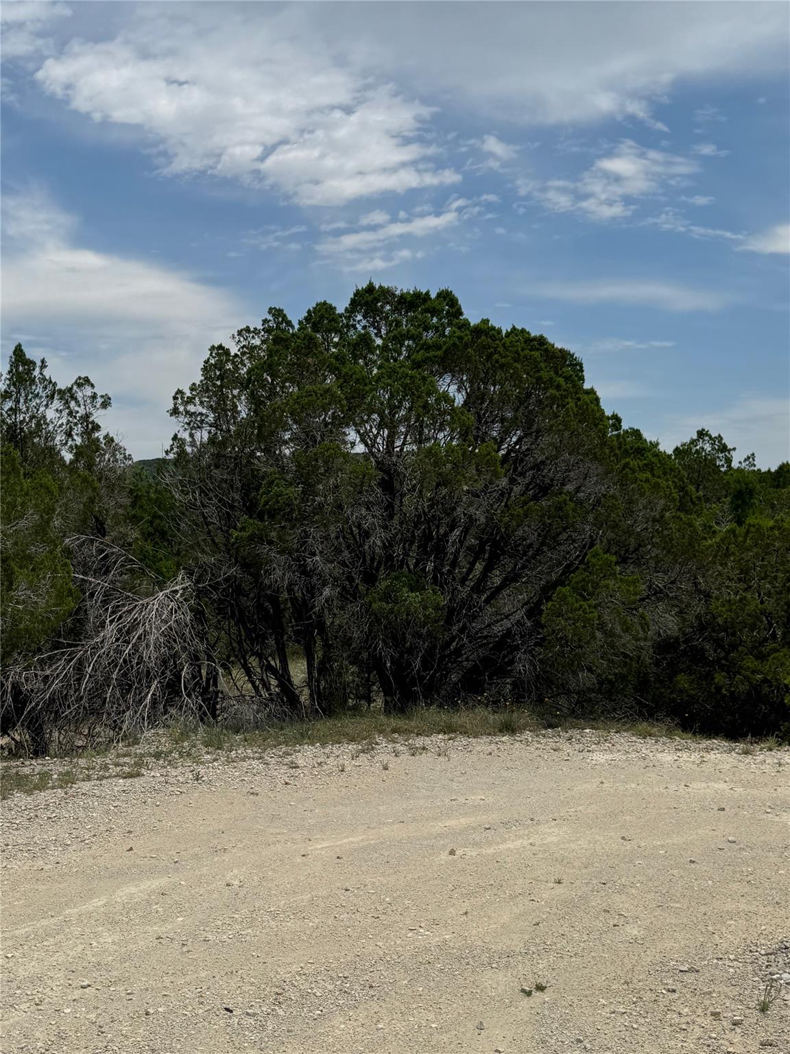 20800 Cedar Ridge Cv, Lago Vista, TX 78645