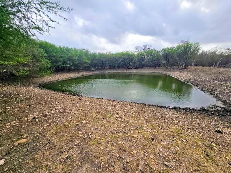 415 Black Watch Ln, Lockhart, TX 78644