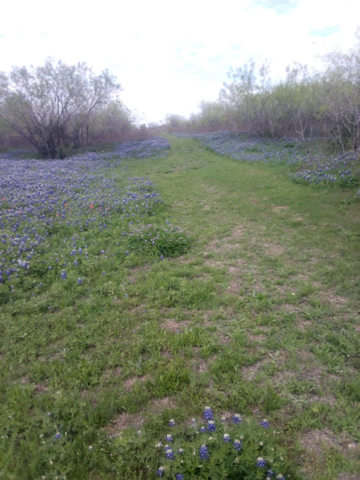 118 Ranchero Dr, Buda, TX 78640