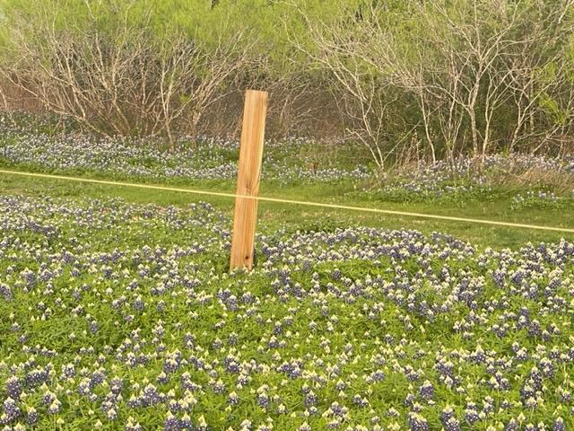 118 Ranchero Dr, Buda, TX 78640