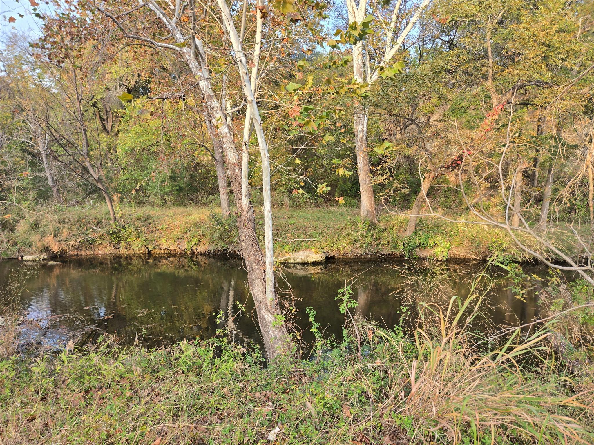 1504 Krienke Ranch Rd, Cedar Park, TX 78613