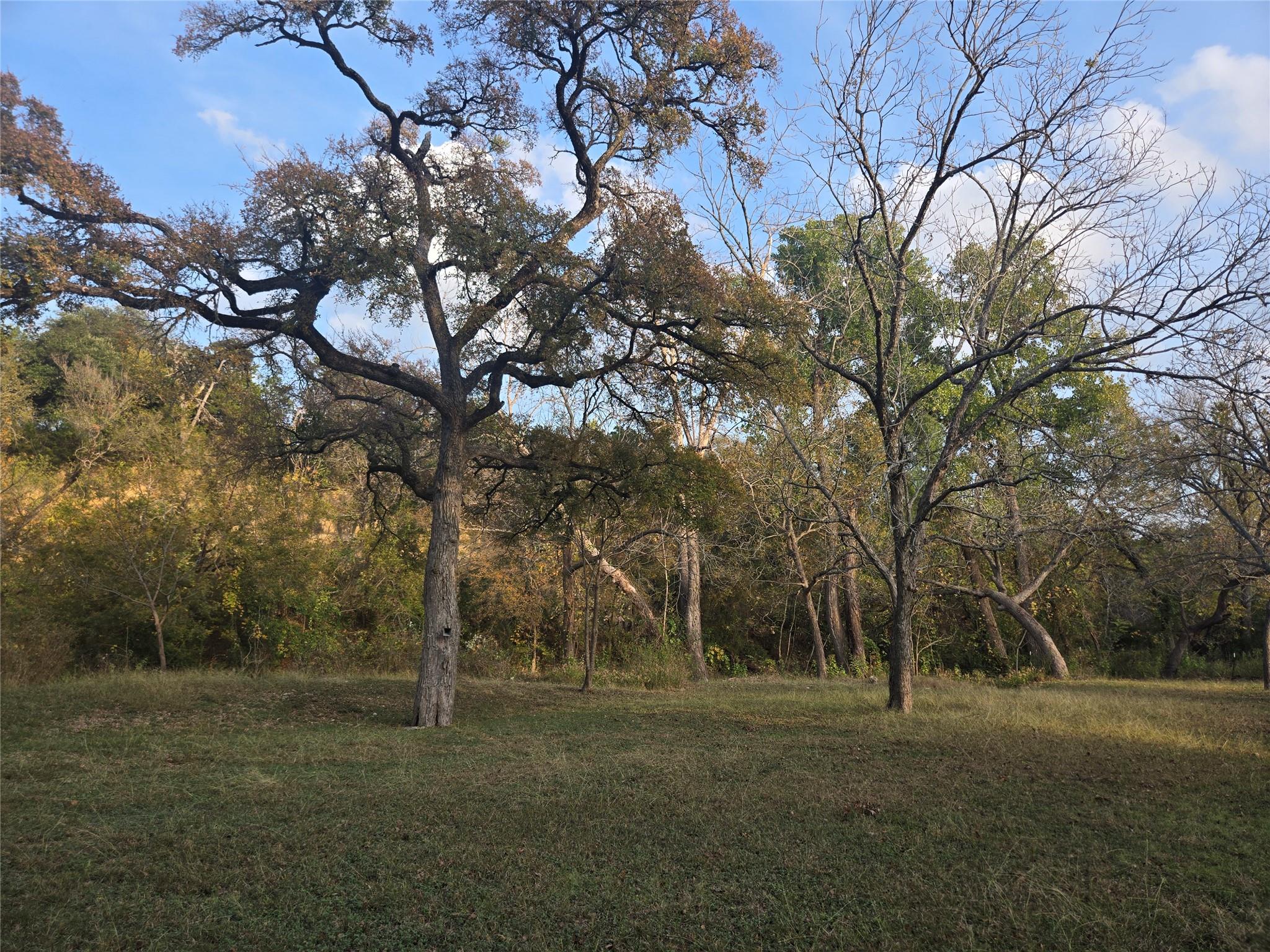 1504 Krienke Ranch Rd, Cedar Park, TX 78613