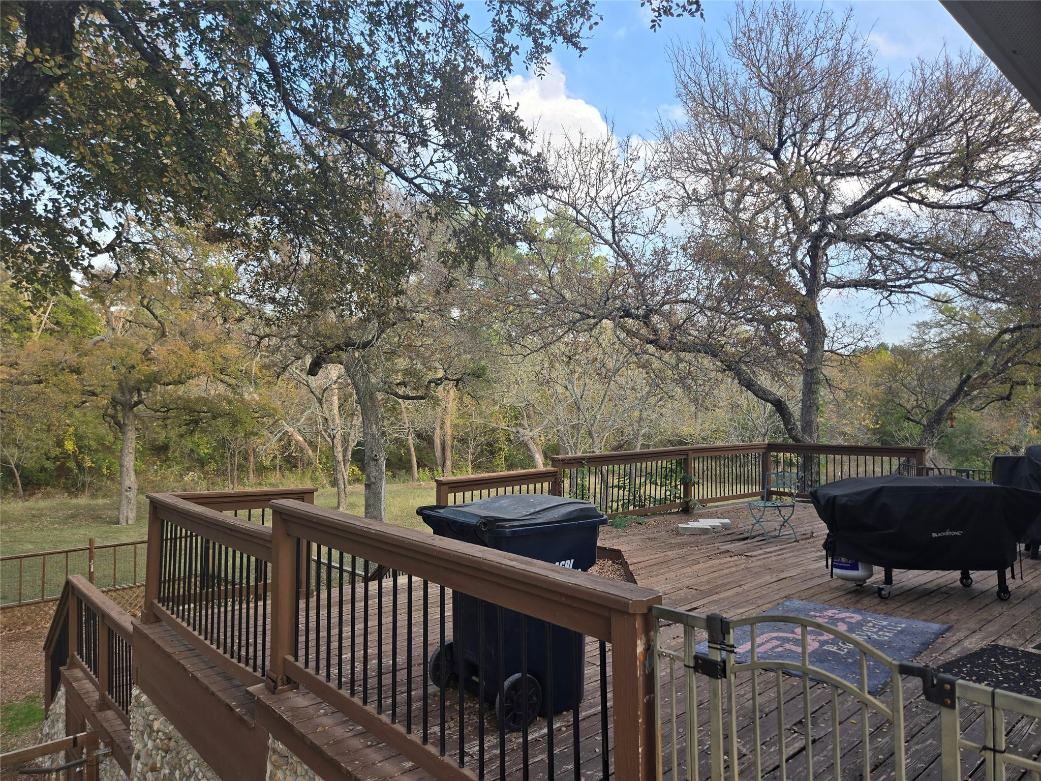 1504 Krienke Ranch Rd, Cedar Park, TX 78613