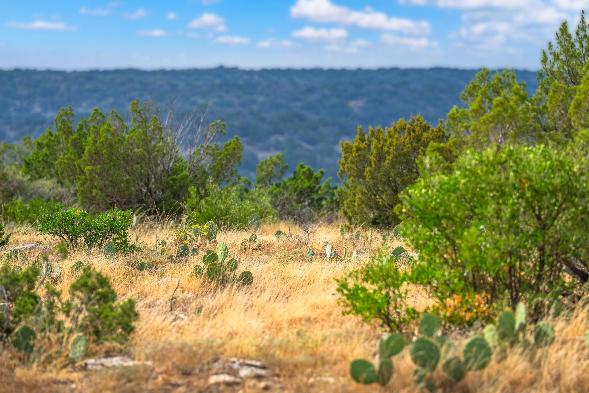 13812 High Lonesome Rd, Del Rio, TX 78840