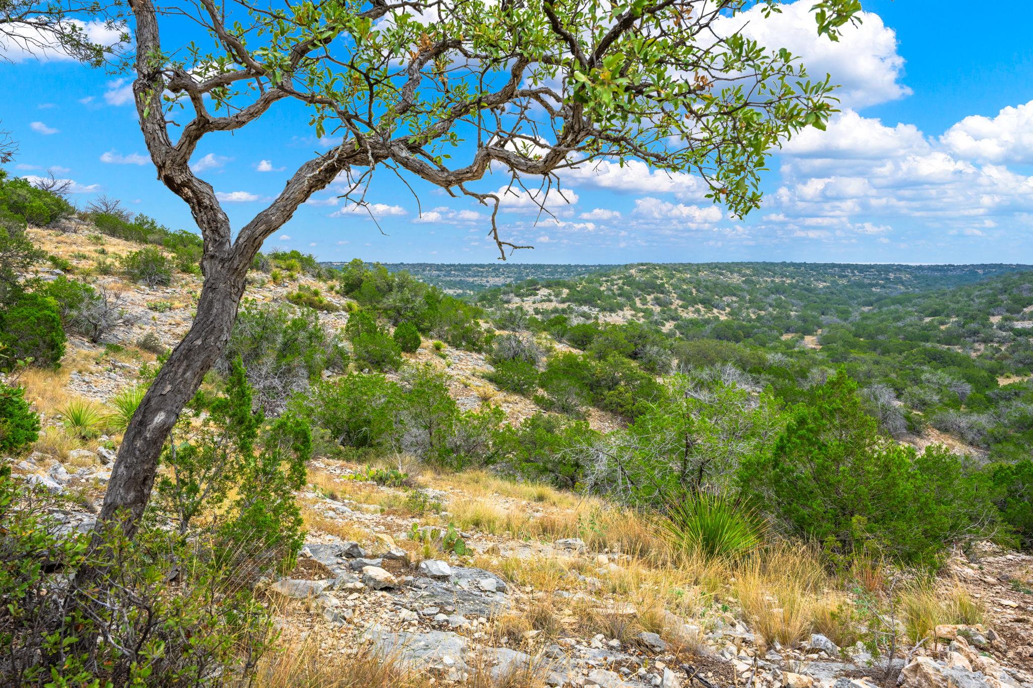 13812 High Lonesome Rd, Del Rio, TX 78840