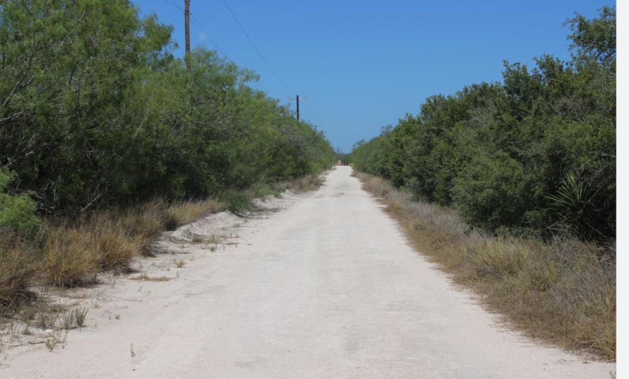 0 County Road 284 Rd, Benavides, TX 78341